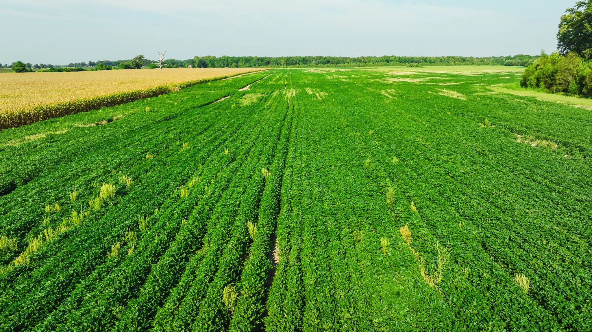 DJI_20250915091807_0010_D.jpg