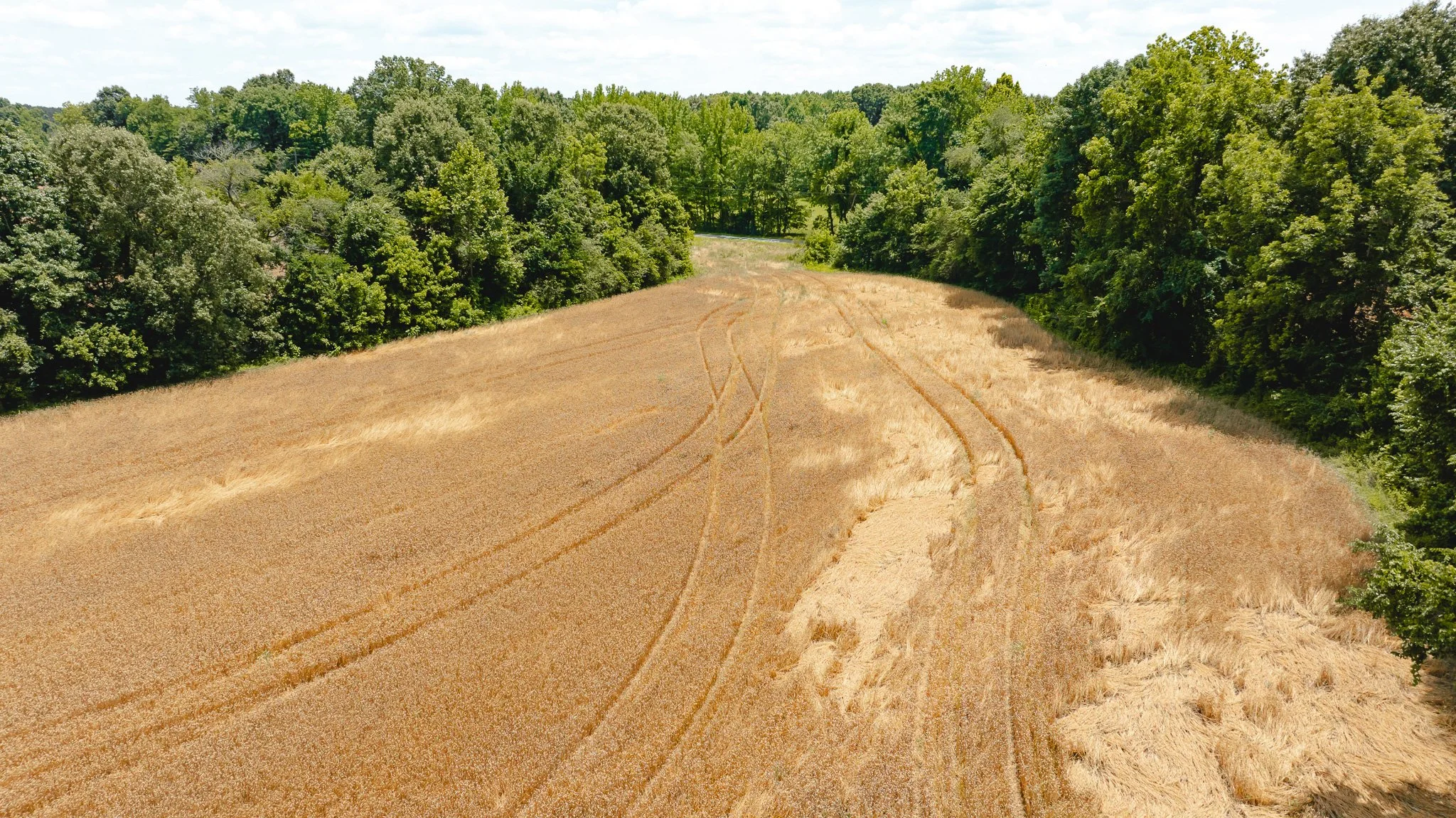 DJI_20260602204457_0026_D.jpg