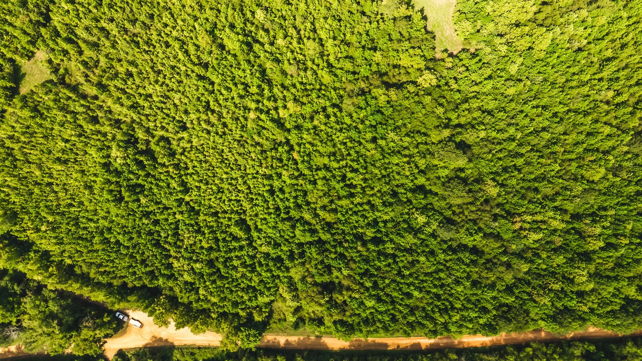 DJI_20250814101705_0005_D.jpg