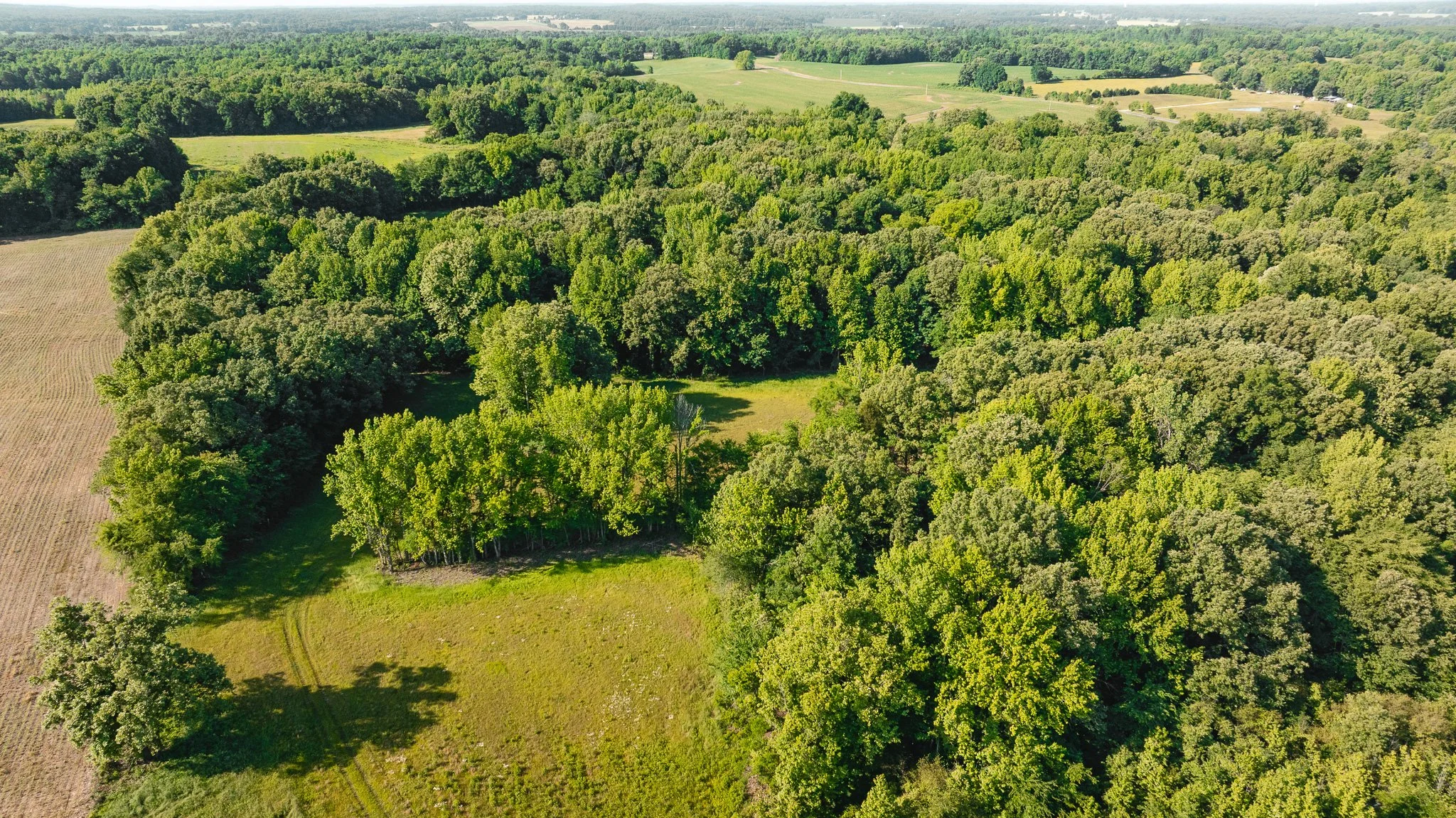 DJI_20260511155604_0004_D.jpg
