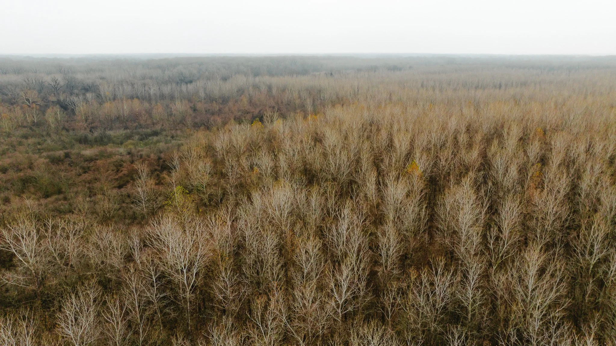 DJI_20251204095526_0031_D.jpg