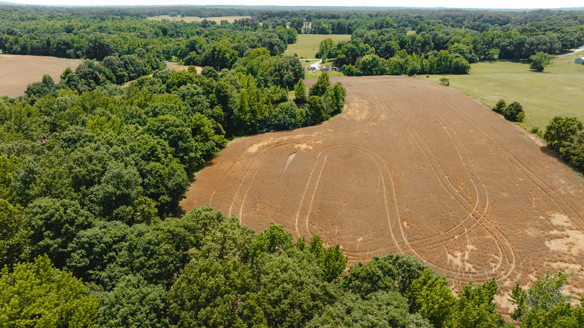 DJI_20260602204316_0021_D.jpg