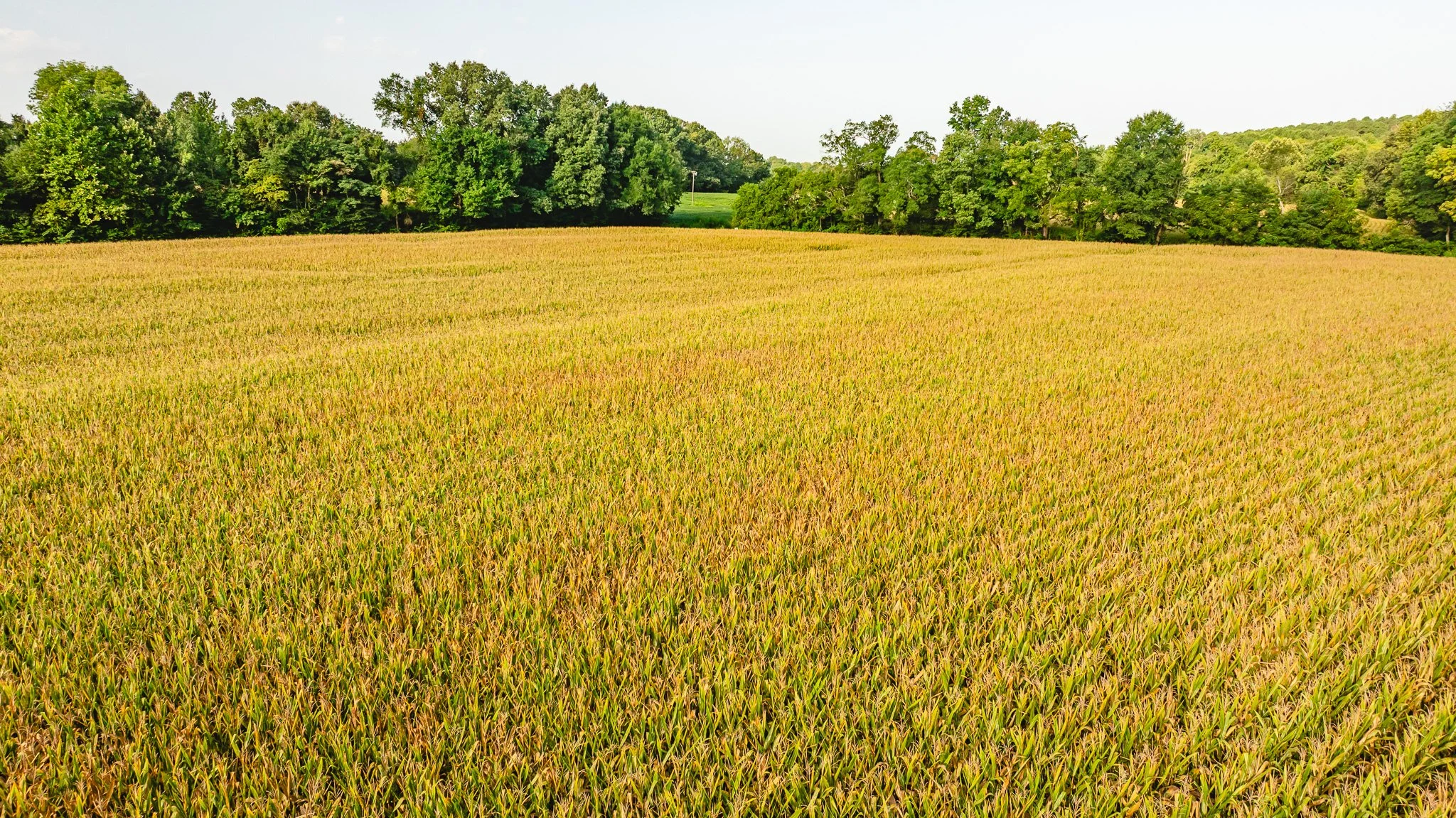 DJI_20260815153733_0017_D.jpg