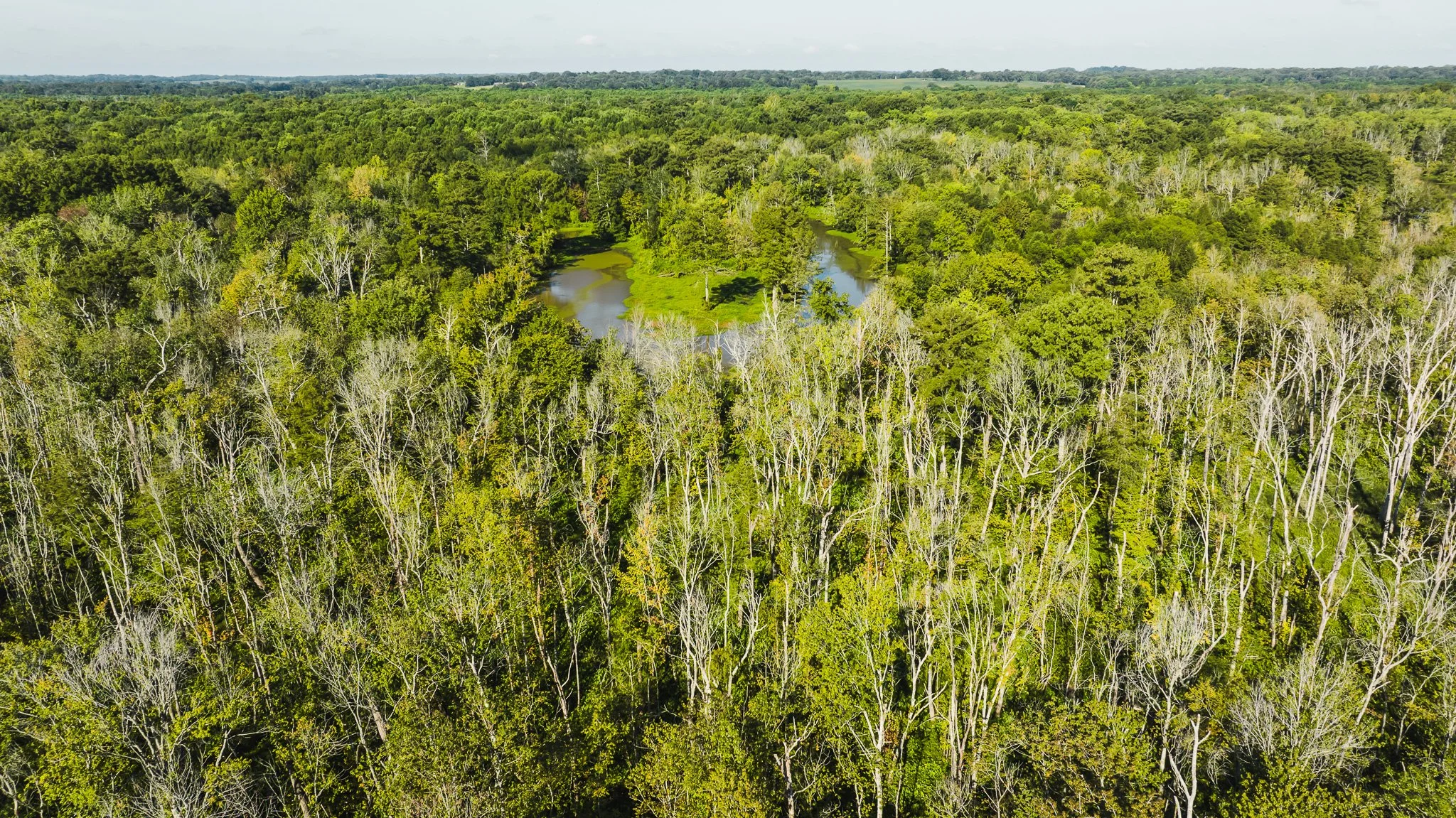 DJI_20250821085827_0050_D.jpg