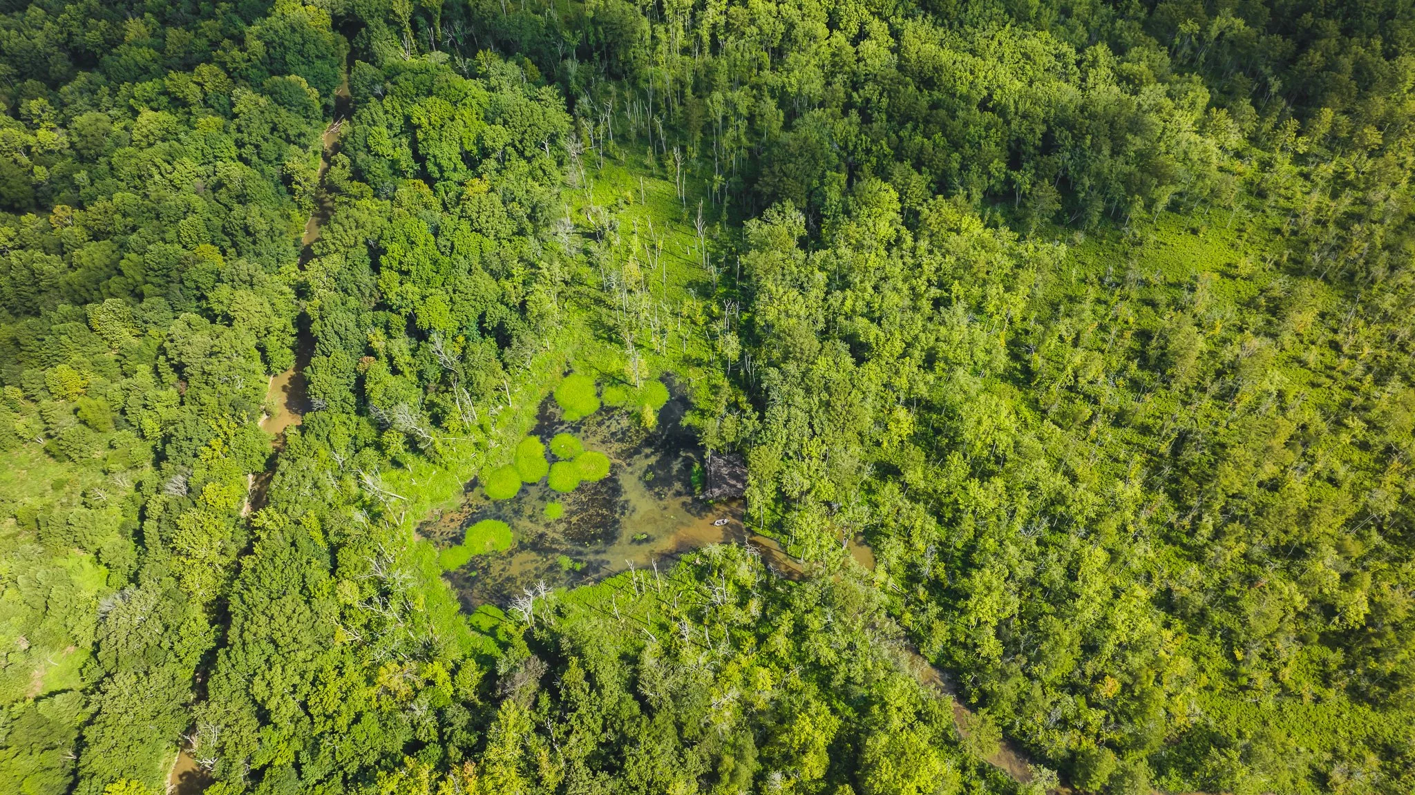 DJI_20250821102138_0095_D.jpg