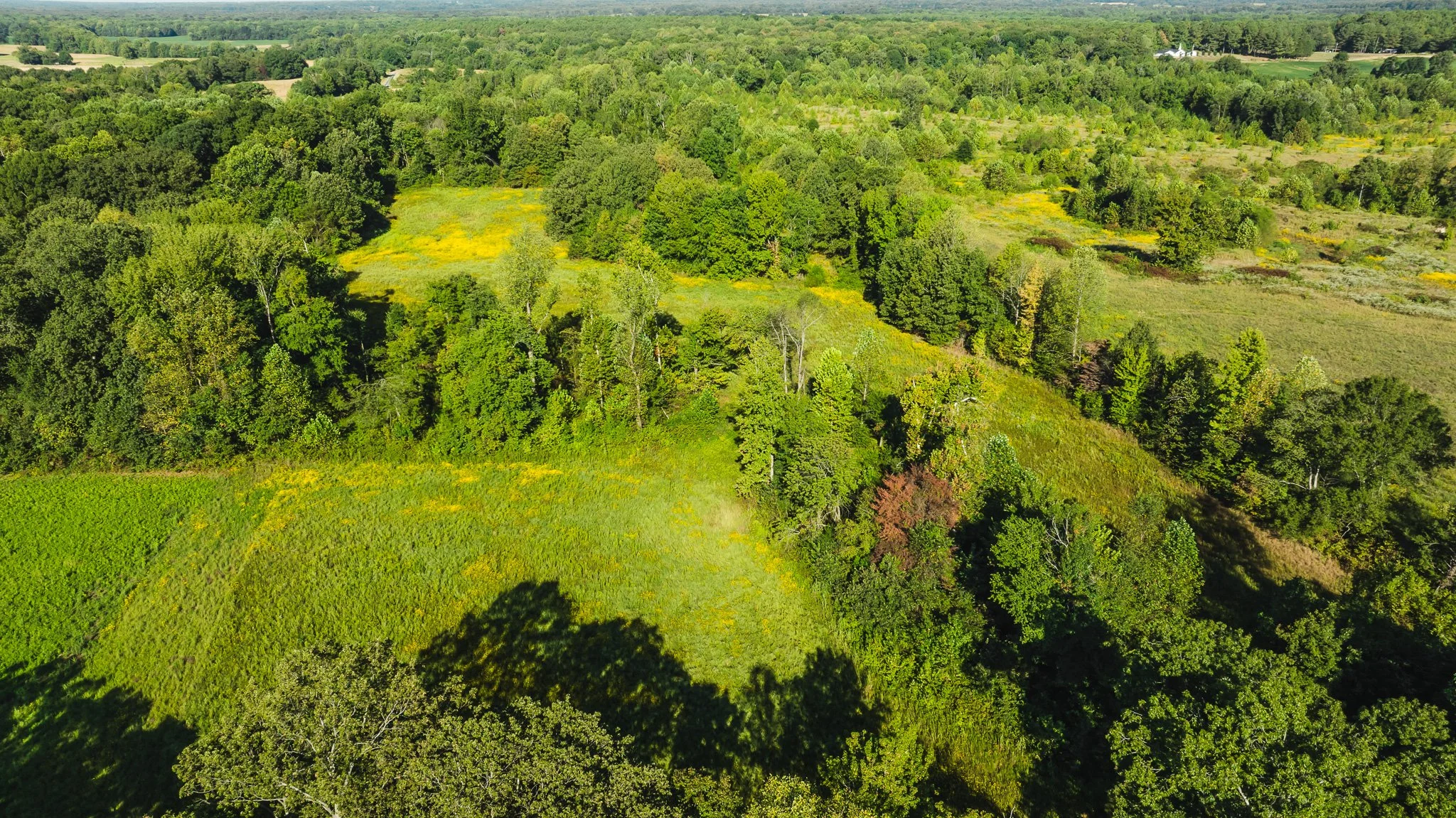 DJI_20250908090102_0020_D.jpg