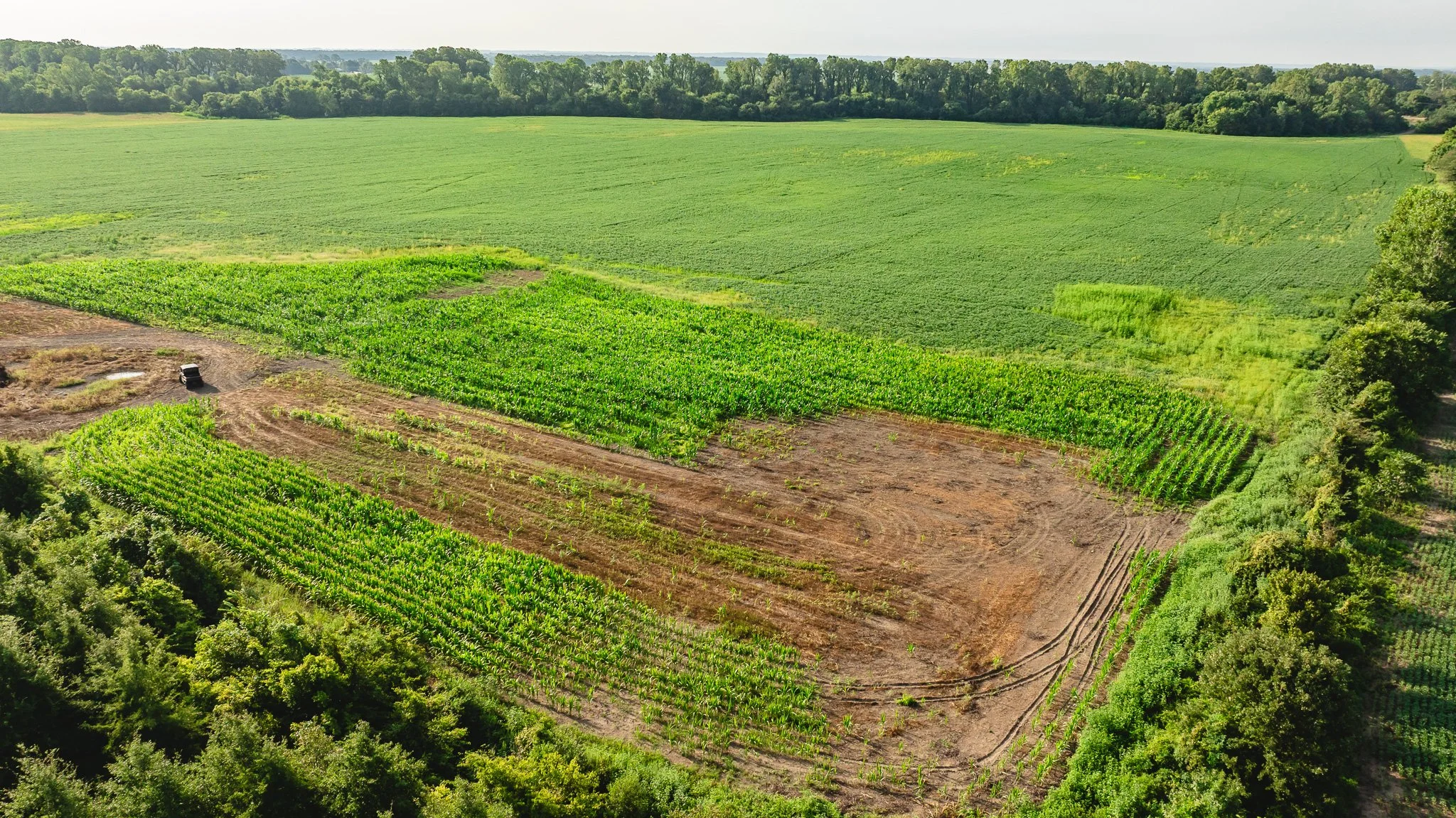 DJI_20260823160514_0016_D.jpg