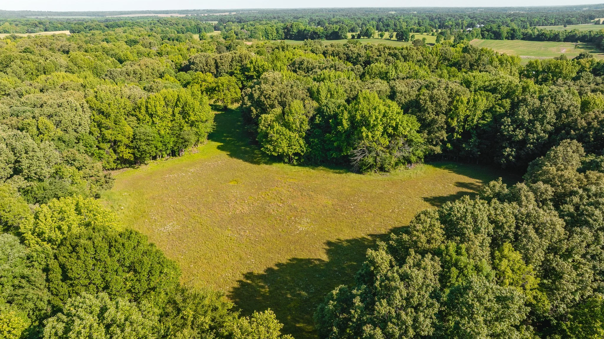 DJI_20260511155721_0007_D.jpg