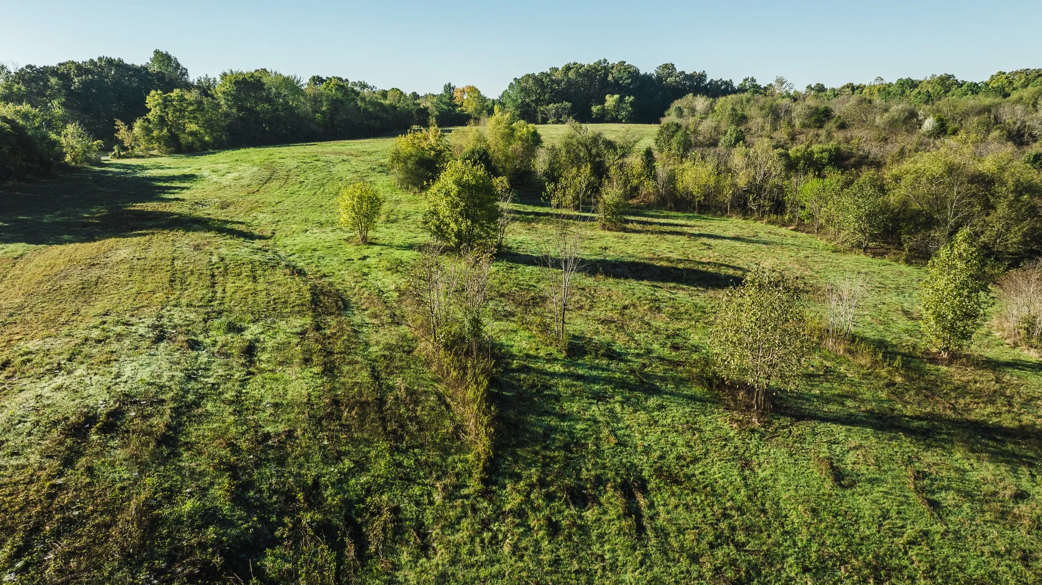 DJI_20251014085221_0020_D.jpg
