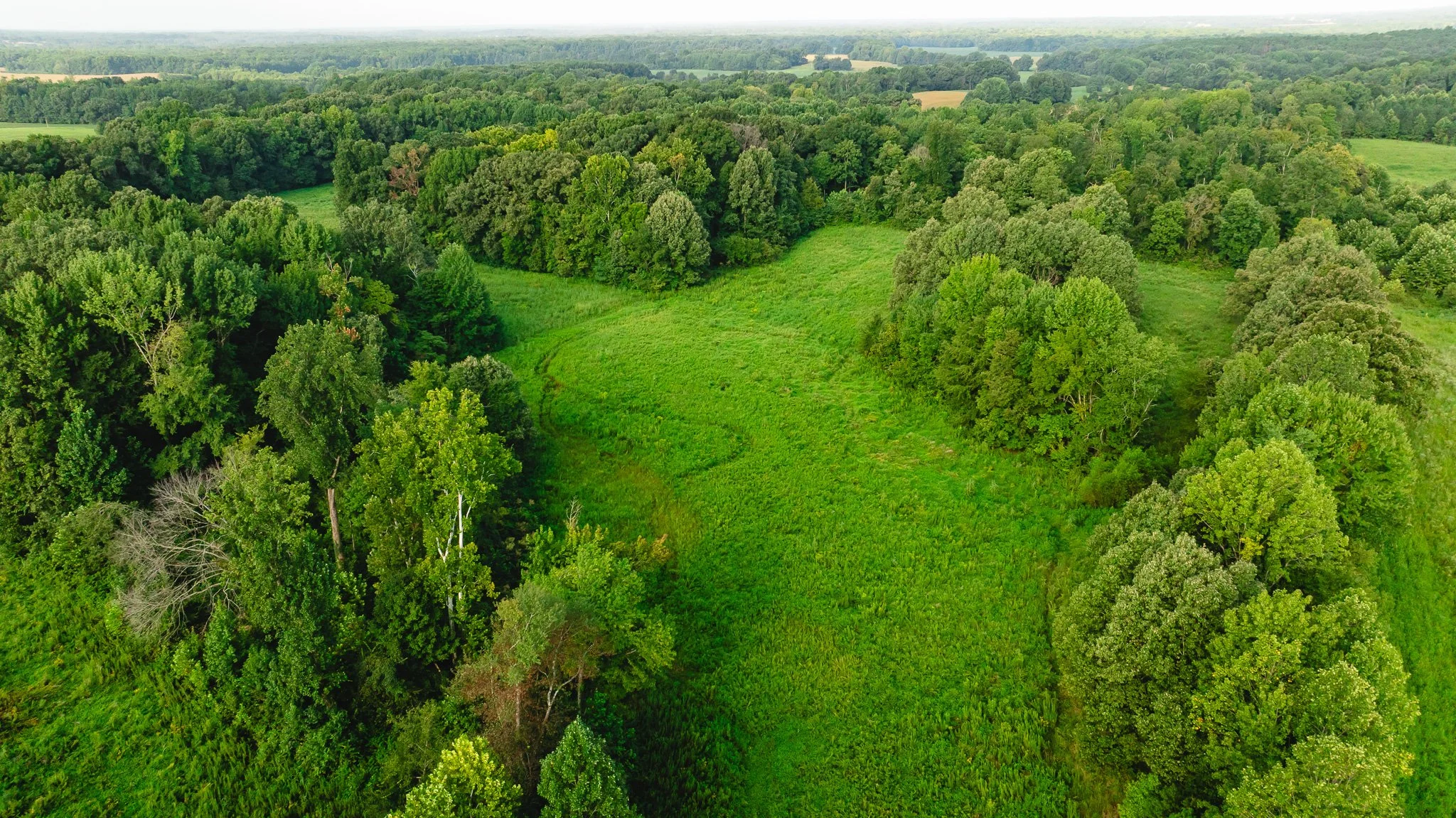 DJI_20260815153511_0010_D.jpg