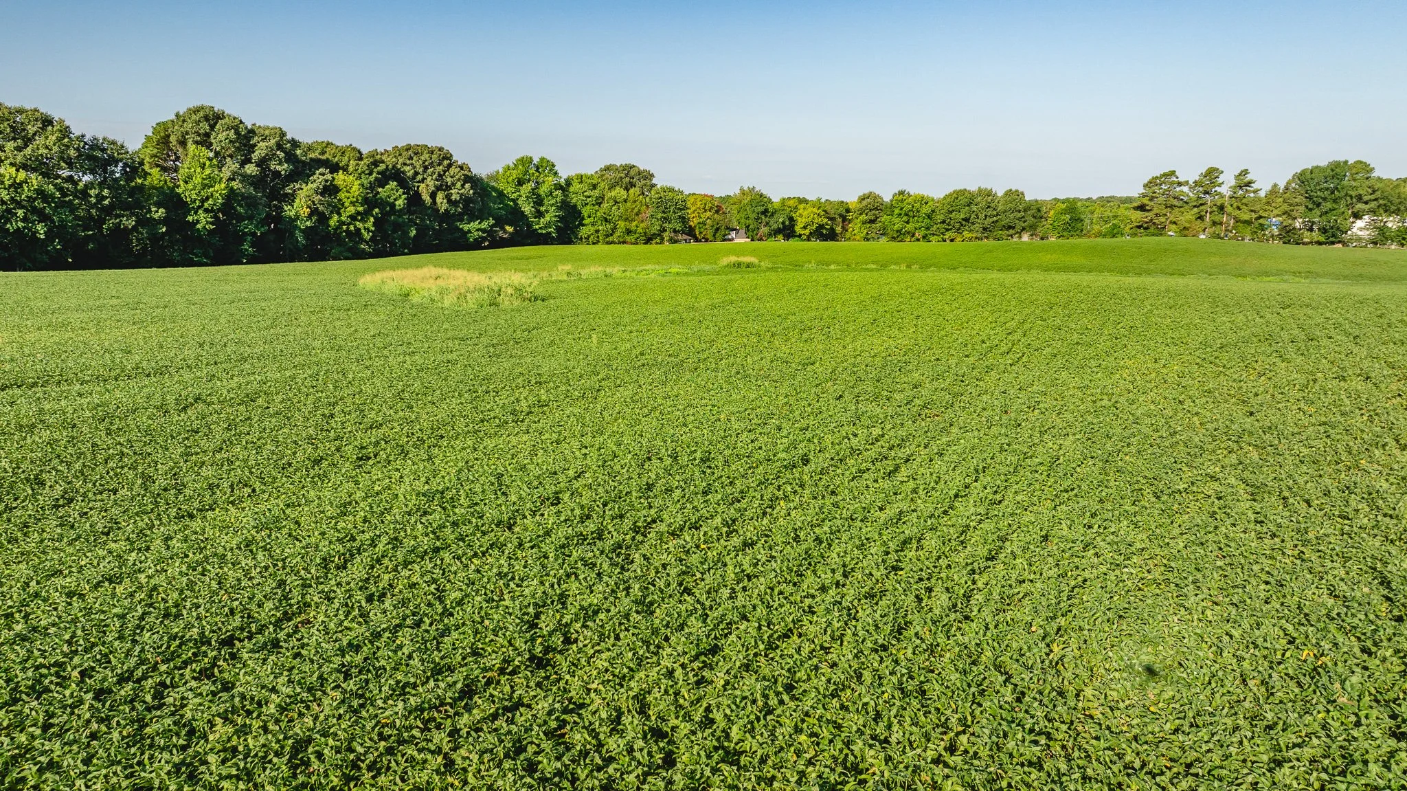 DJI_20260816154205_0005_D.jpg