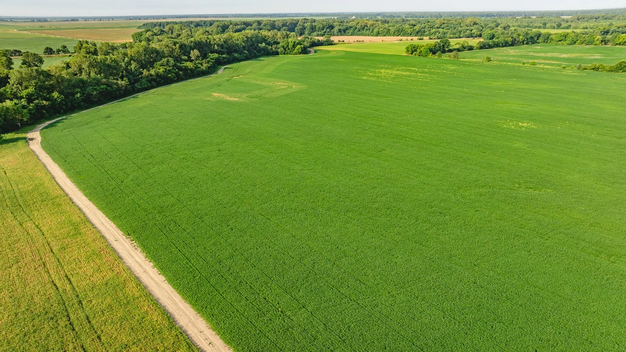 DJI_20260823160754_0024_D.jpg