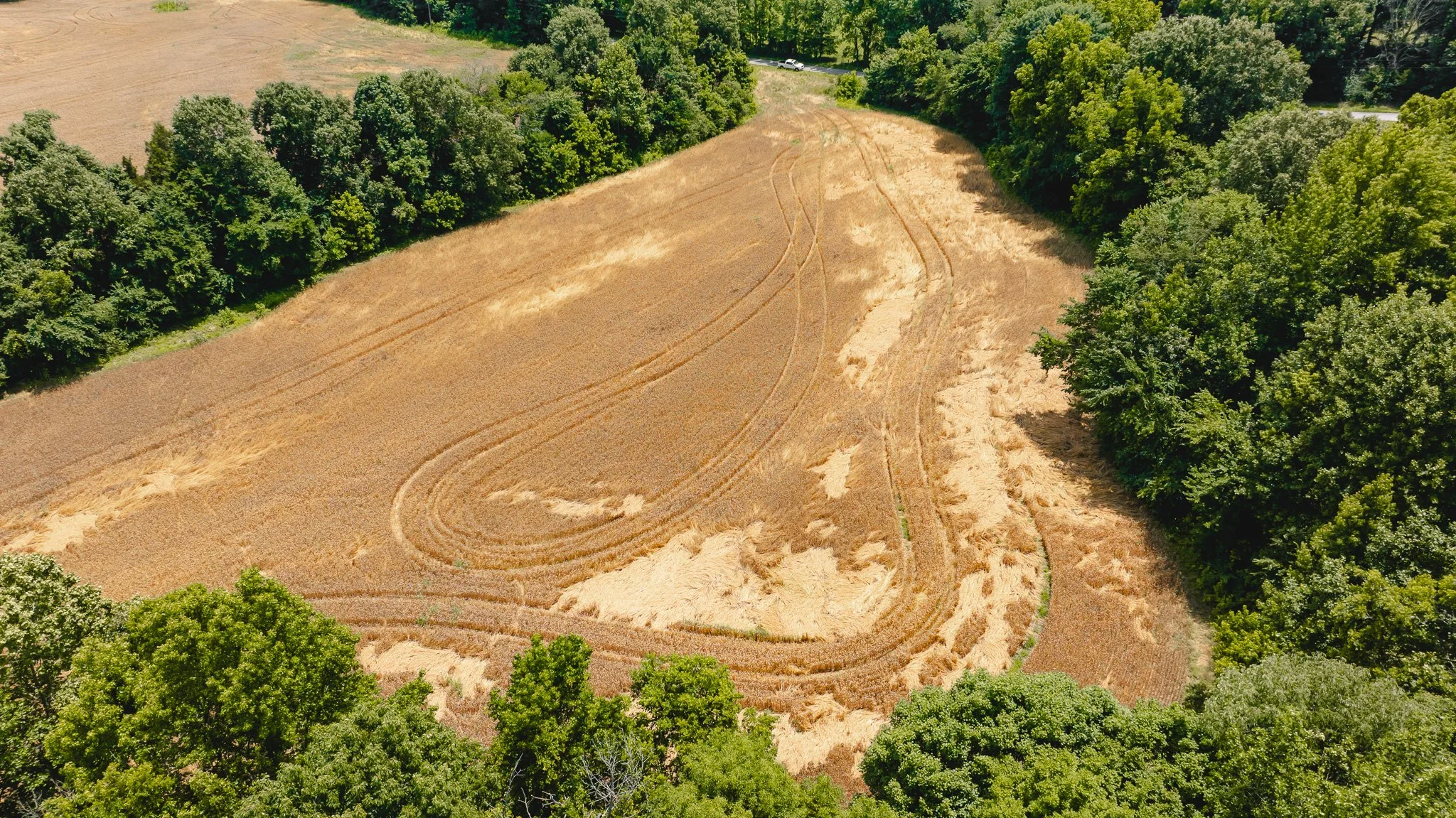 DJI_20260602204445_0025_D.jpg