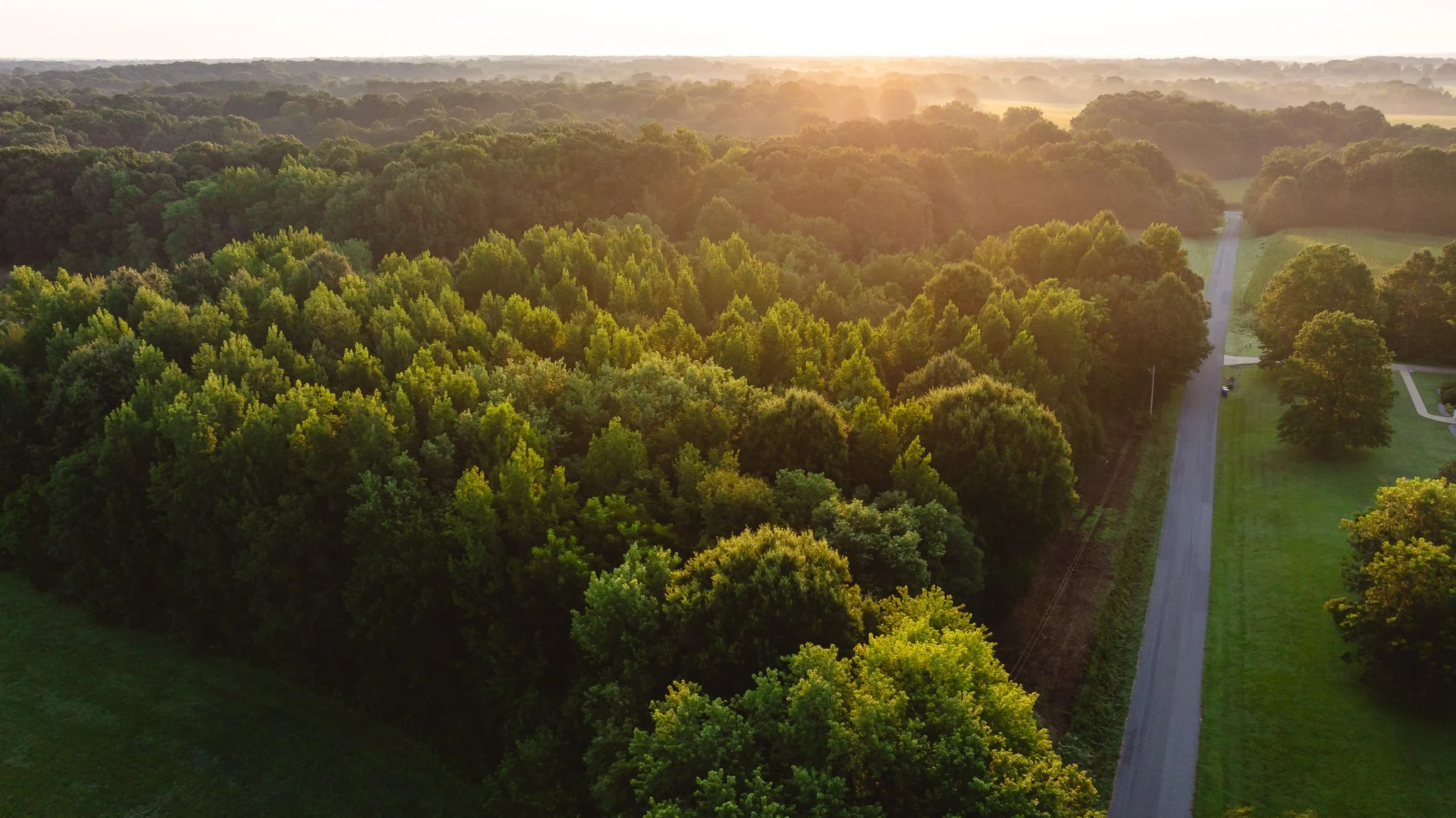 DJI_20260803135641_0006_D.jpg