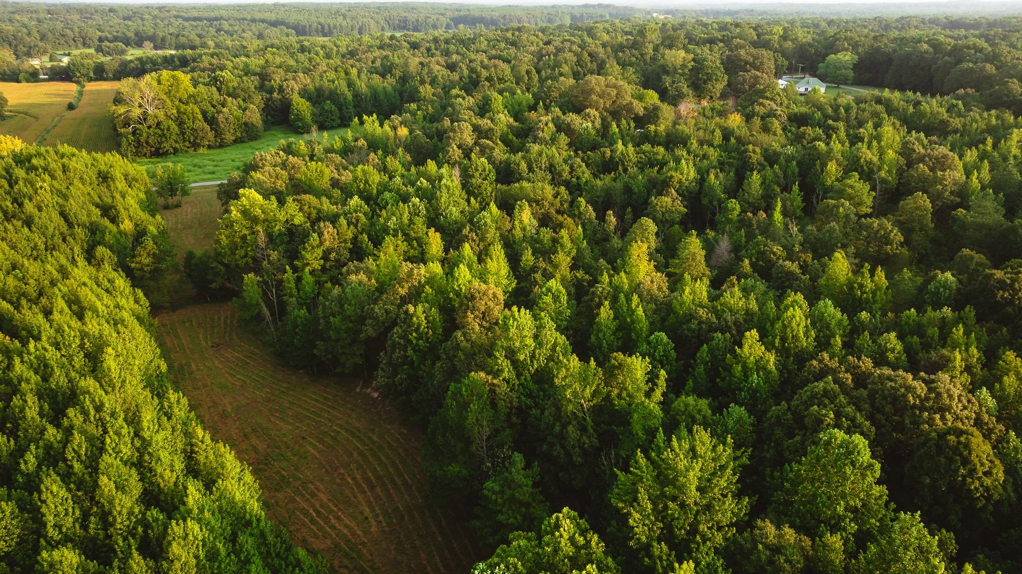 DJI_20260812143626_0149_D.jpg
