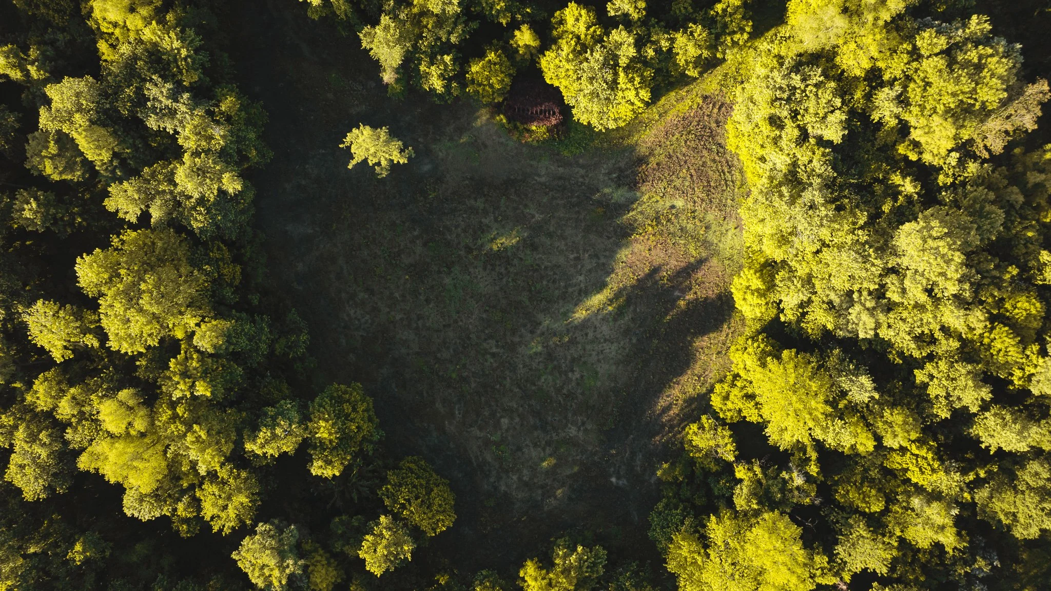 DJI_20260505143422_0056_D.jpg