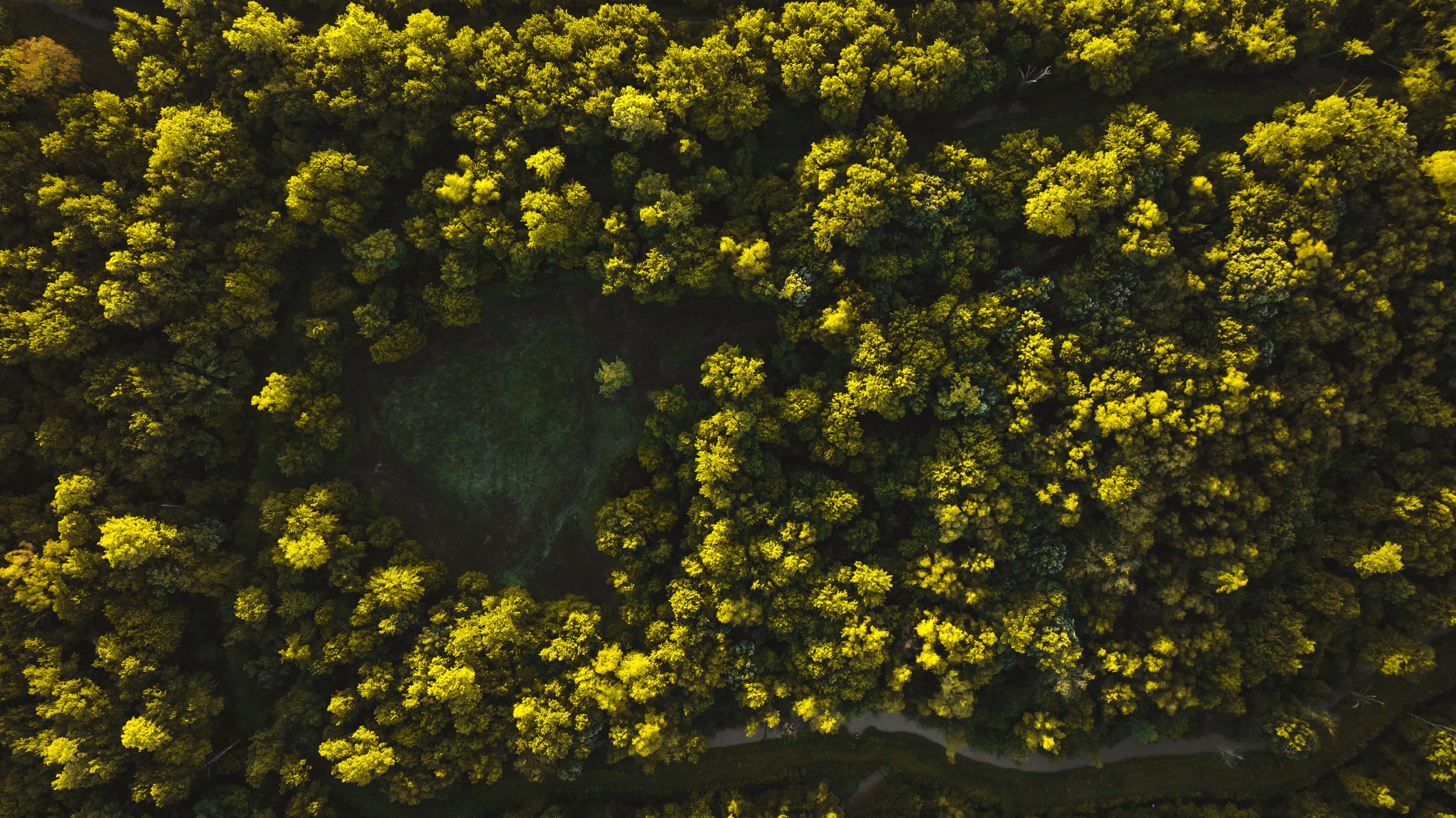 DJI_20260505133452_0026_D.jpg