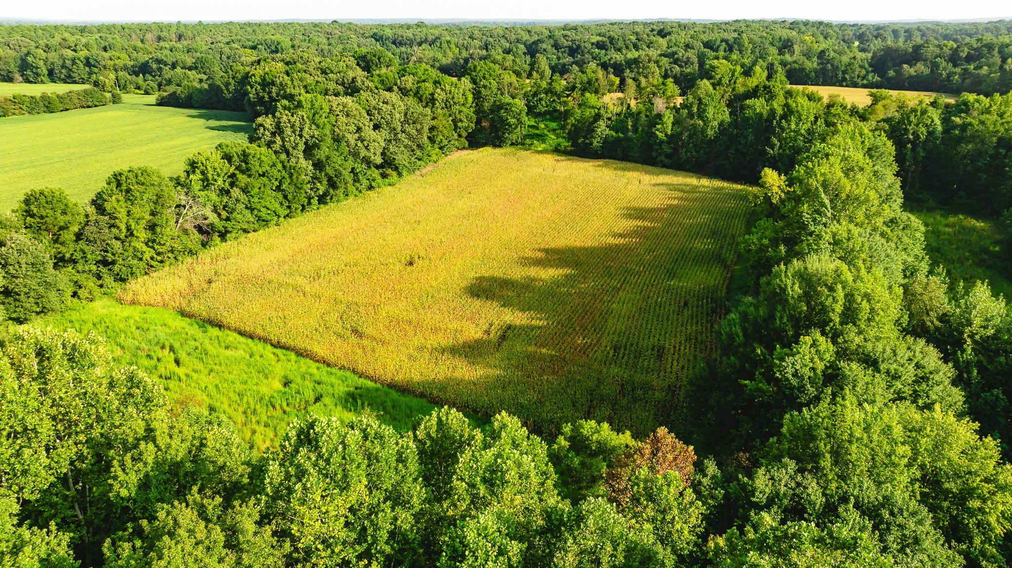 DJI_20260815154906_0044_D.jpg