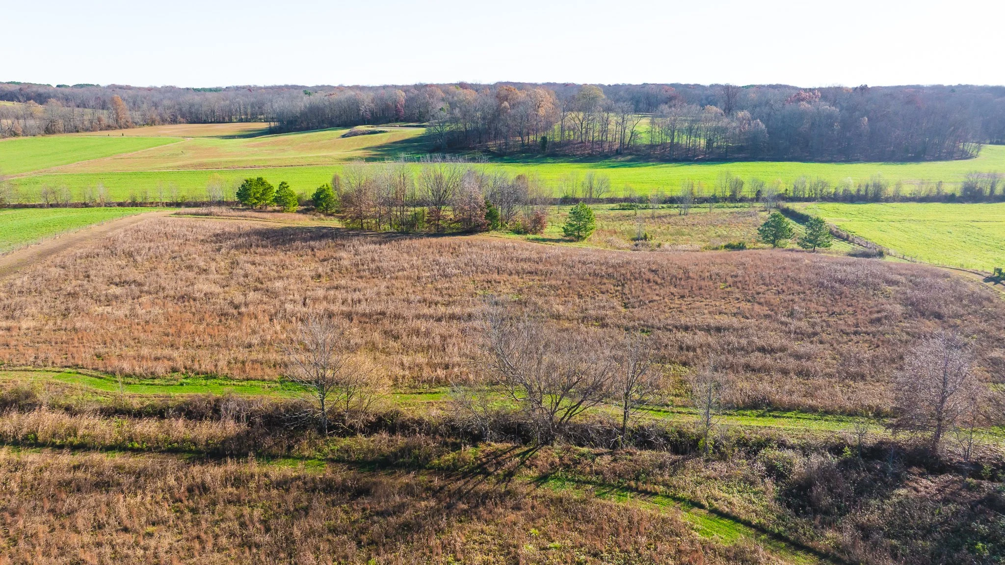 DJI_20251126092910_0008_D.jpg
