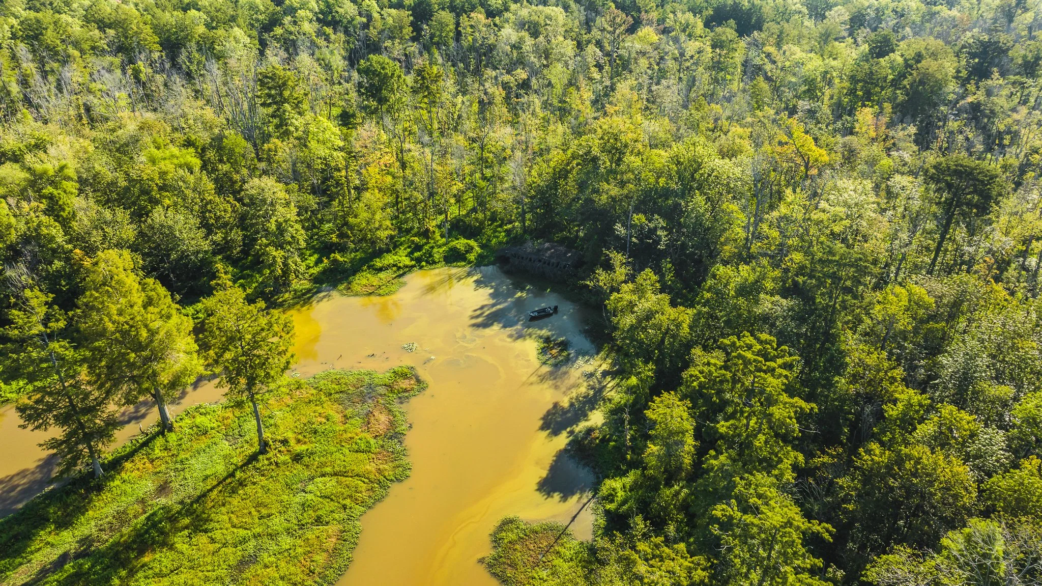 DJI_20250821085539_0042_D.jpg