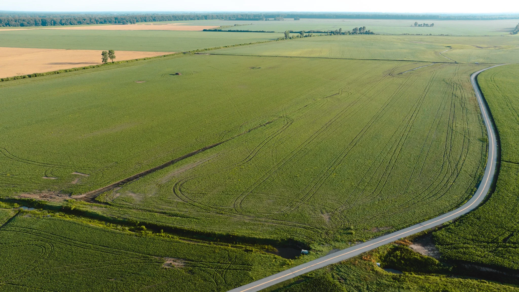 DJI_20260602135738_0031_D.jpg