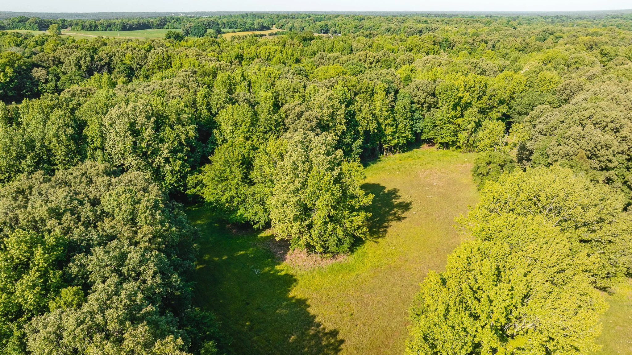 DJI_20260511155645_0006_D.jpg