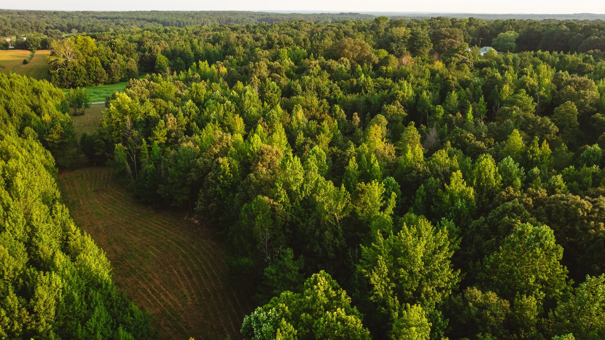 DJI_20260812143620_0148_D.jpg