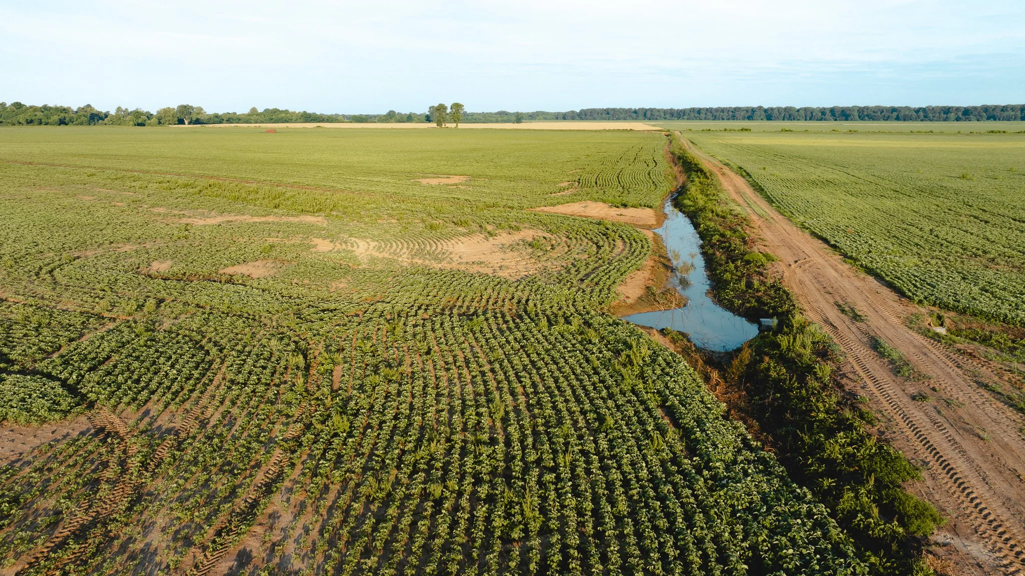 DJI_20260602135038_0013_D.jpg