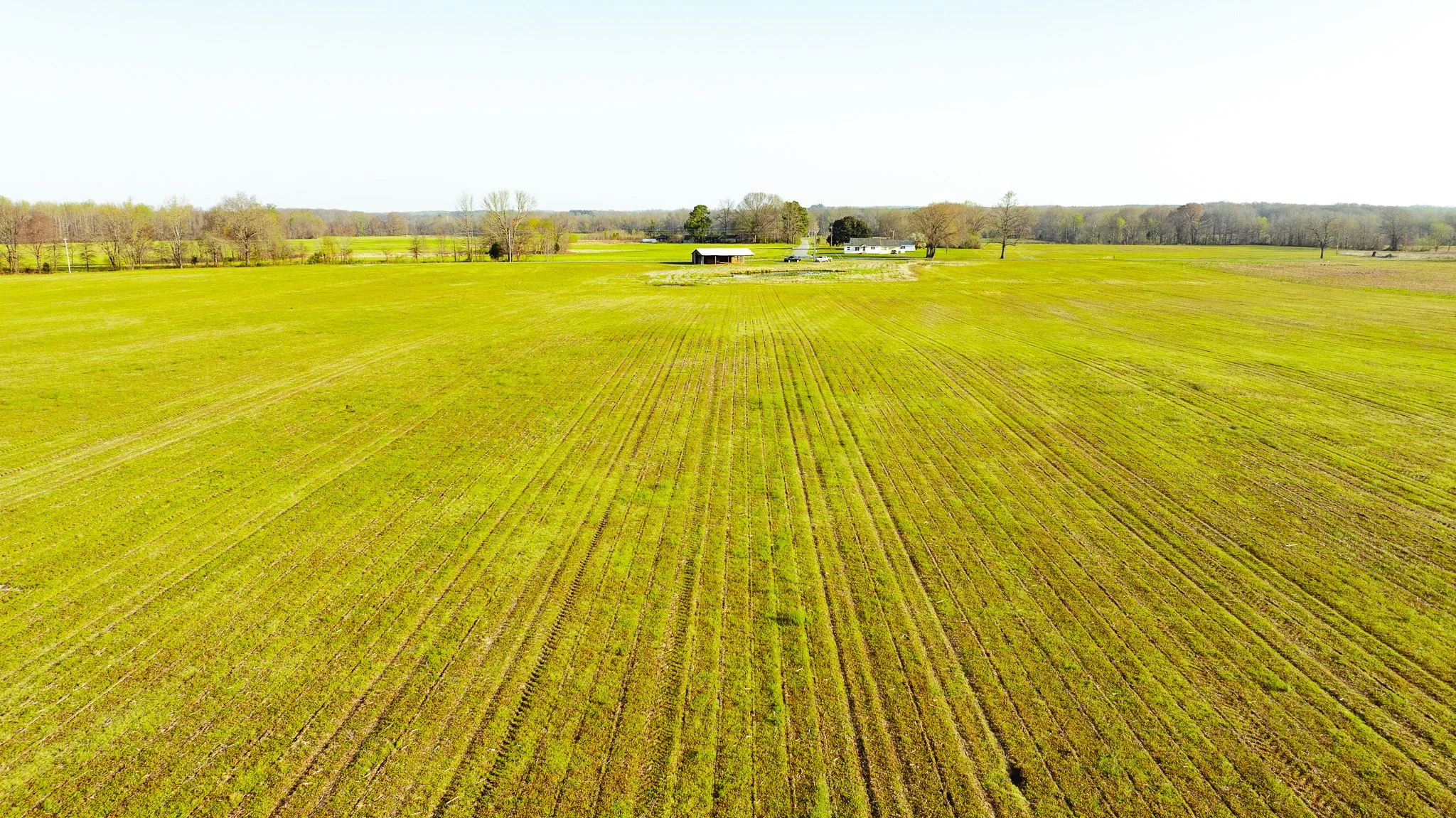 DJI_20260326085108_0030_D.jpg