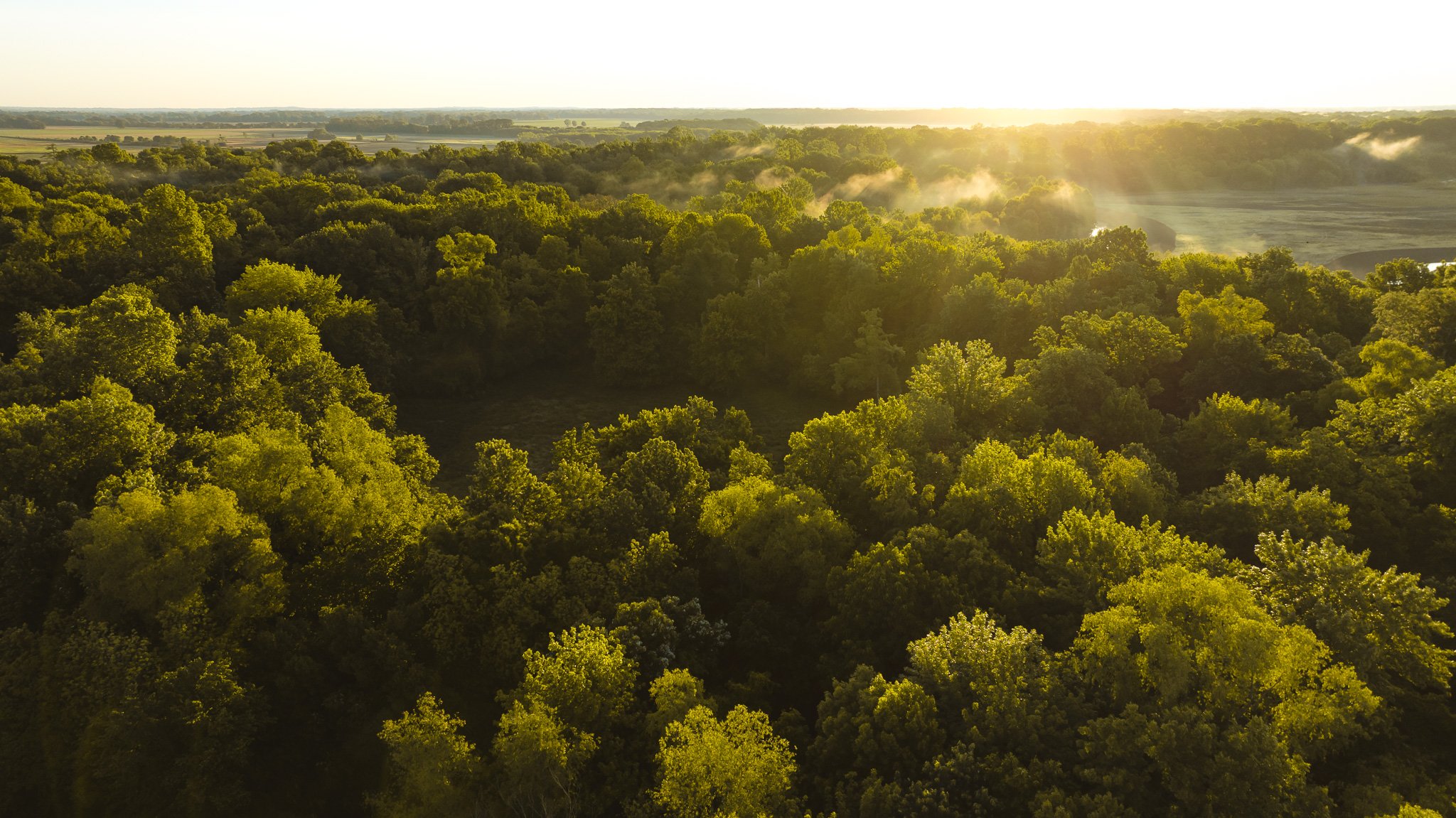 DJI_20260505133733_0031_D.jpg