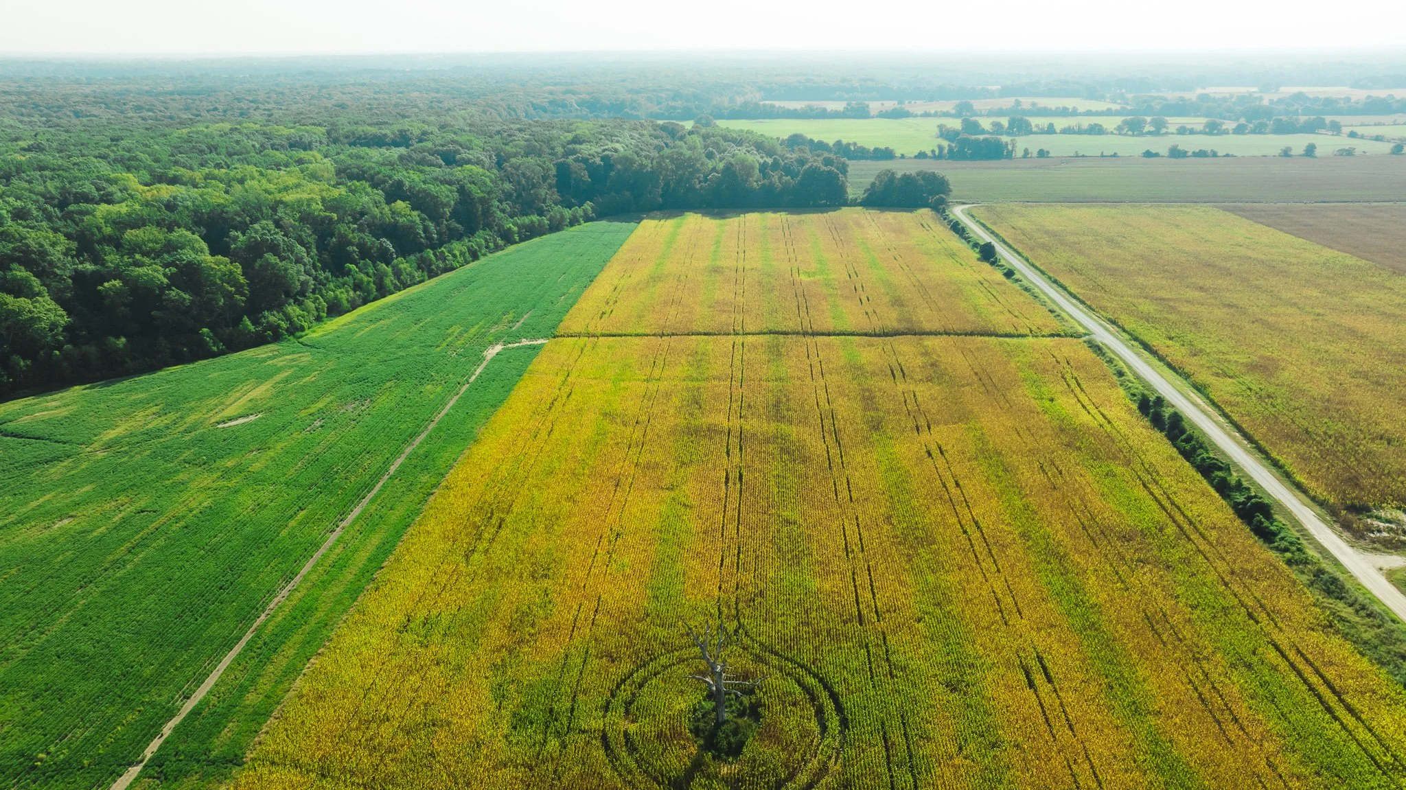 DJI_20250915092331_0021_D.jpg