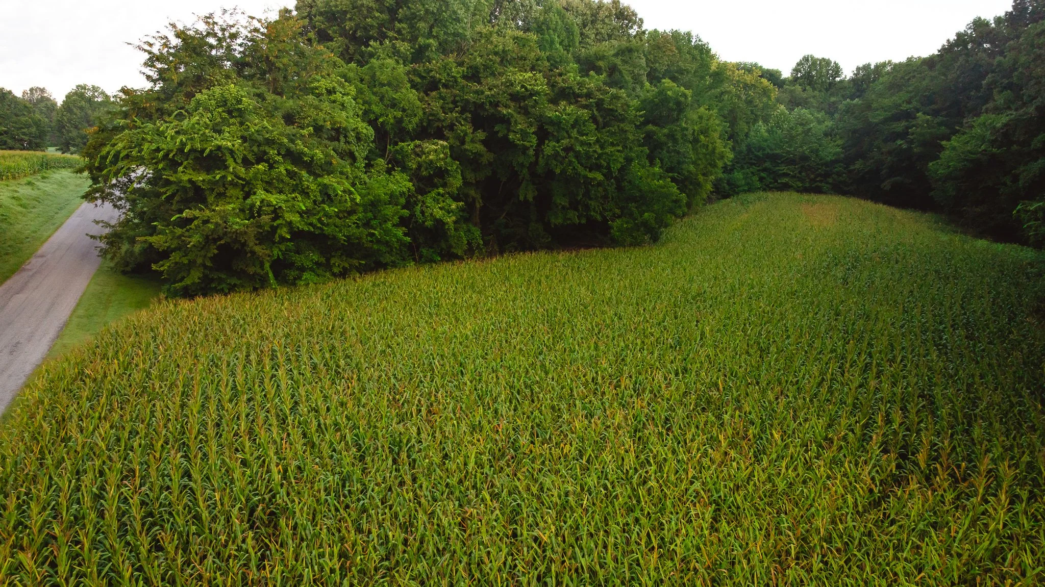 DJI_20260803141720_0041_D.jpg