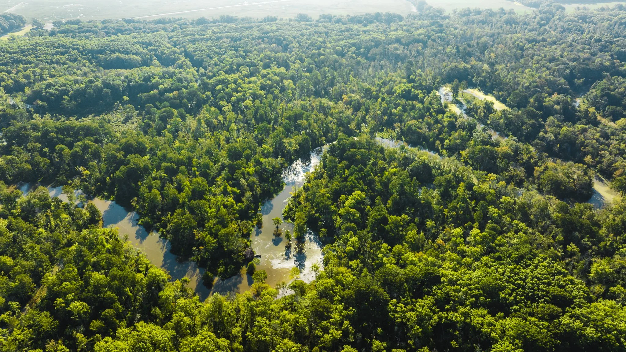 DJI_20250821081503_0002_D.jpg
