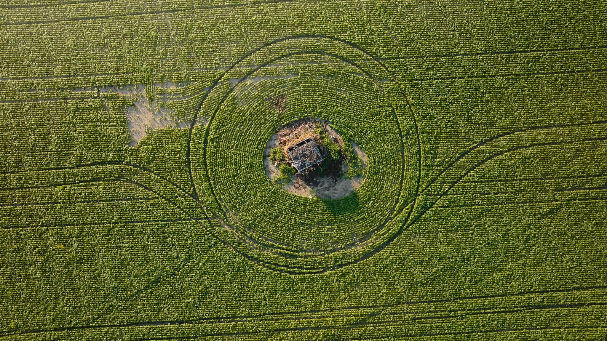 DJI_20260602135223_0019_D.jpg