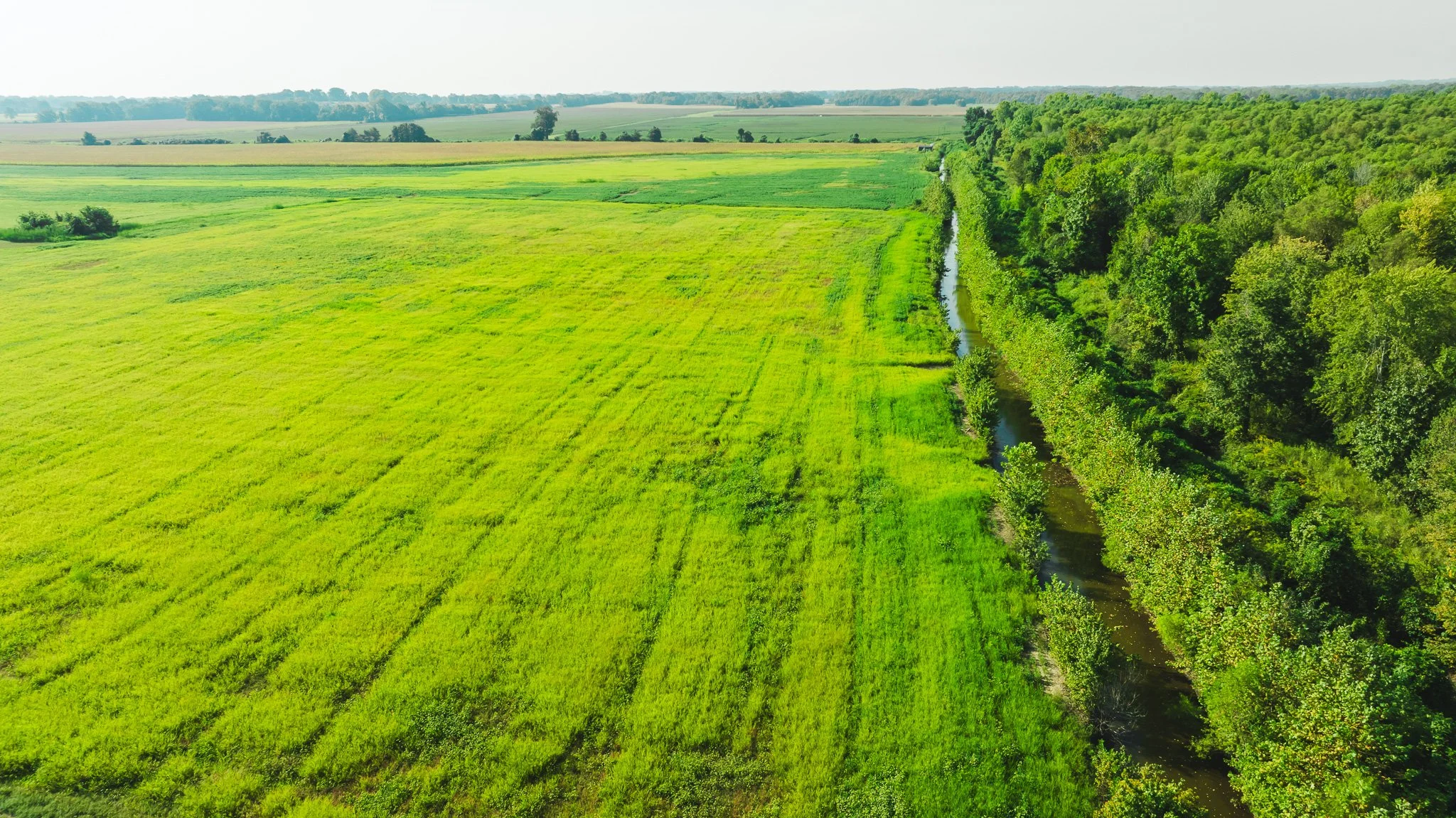DJI_20250915092540_0026_D.jpg