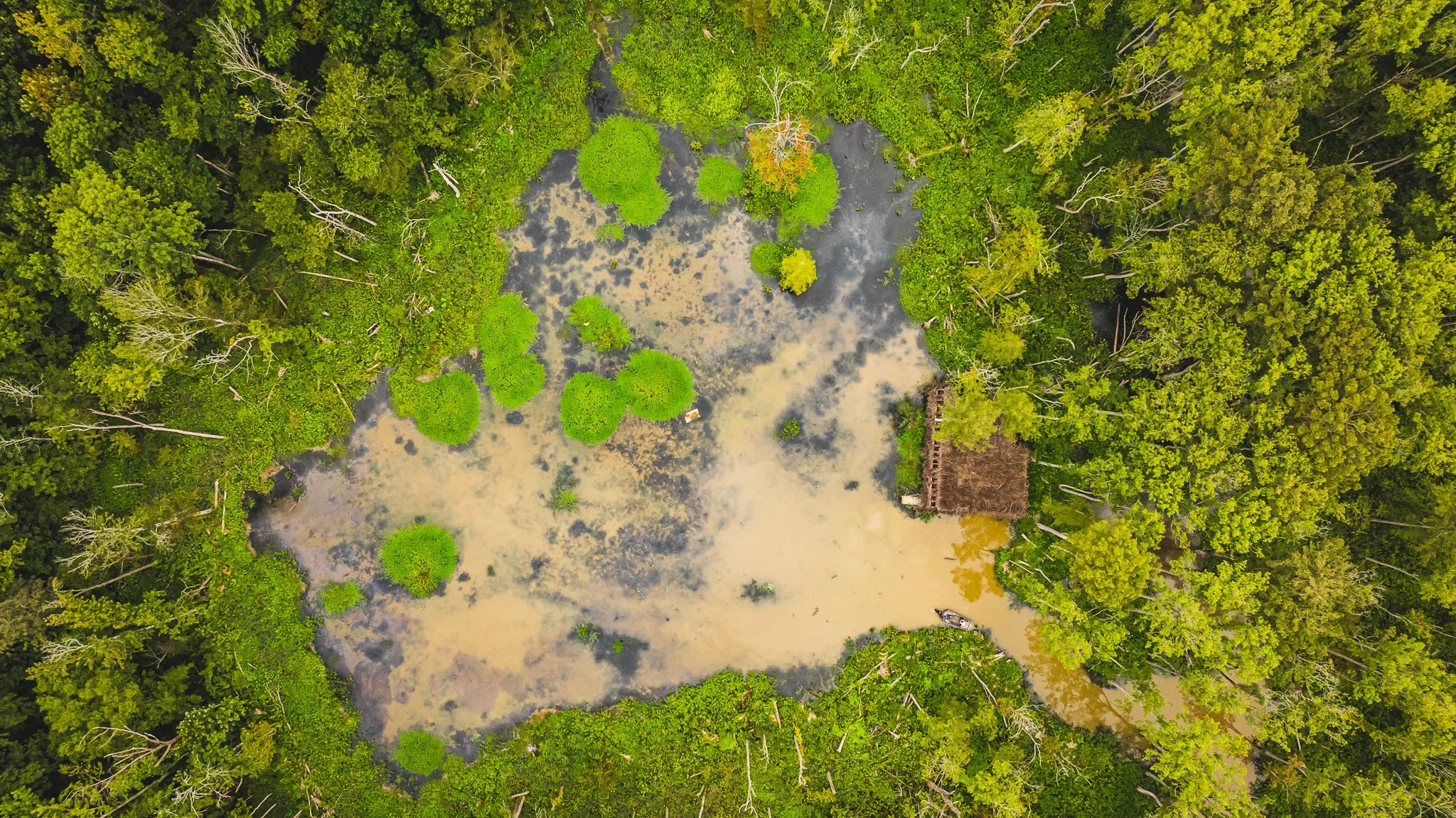 DJI_20250805080721_0044_D.jpg