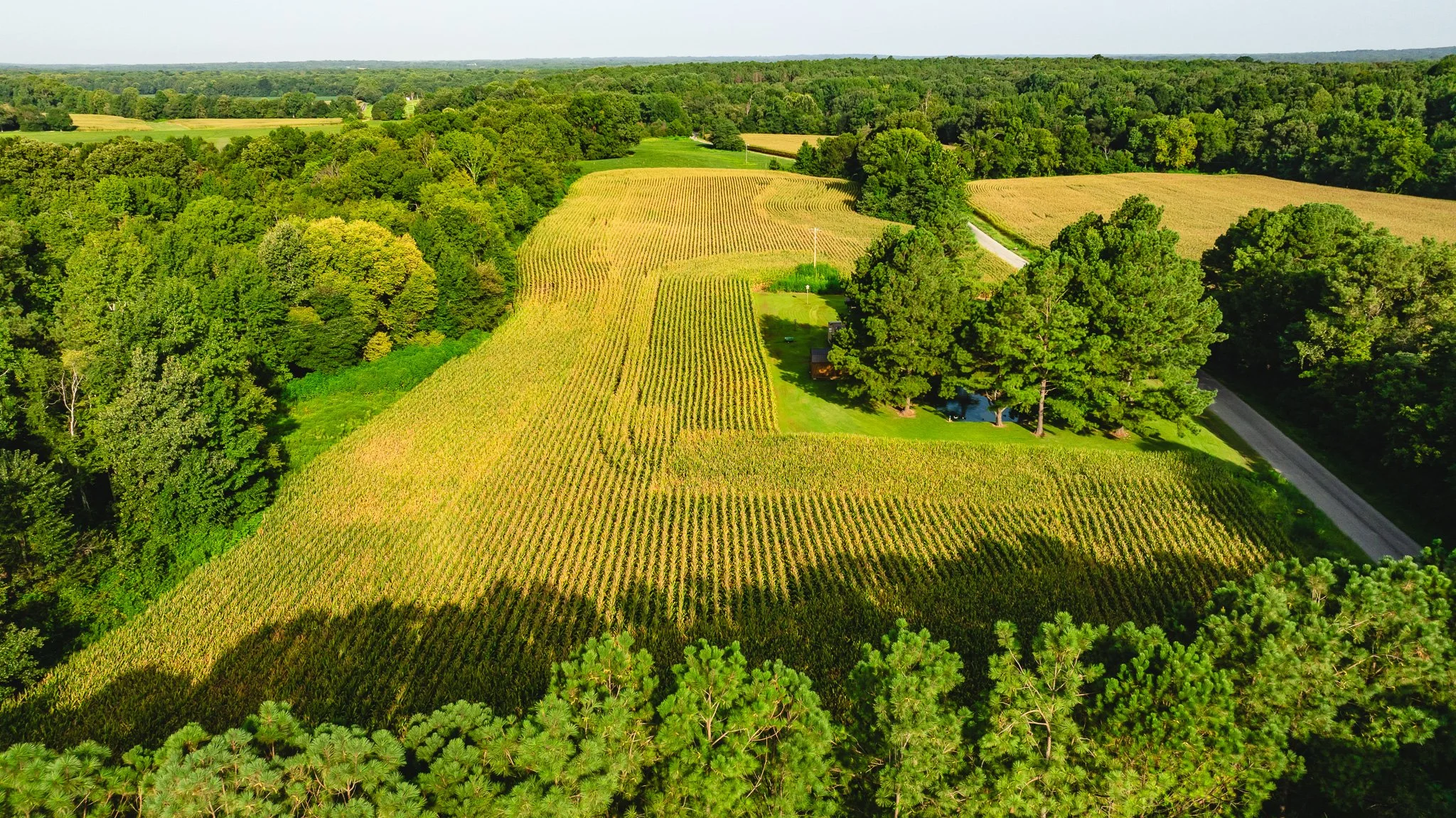 DJI_20260815154712_0038_D.jpg