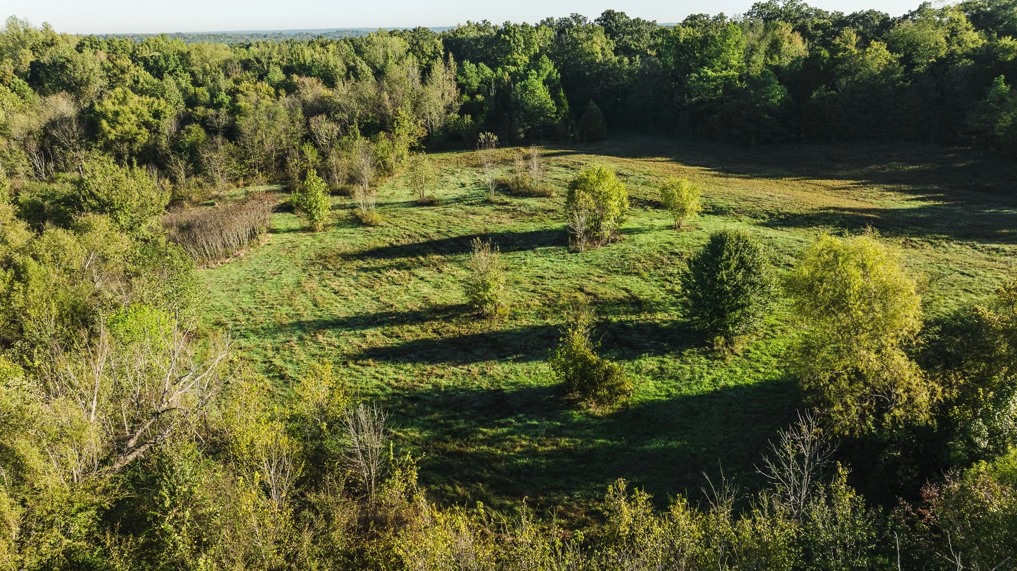 DJI_20251014085051_0016_D.jpg