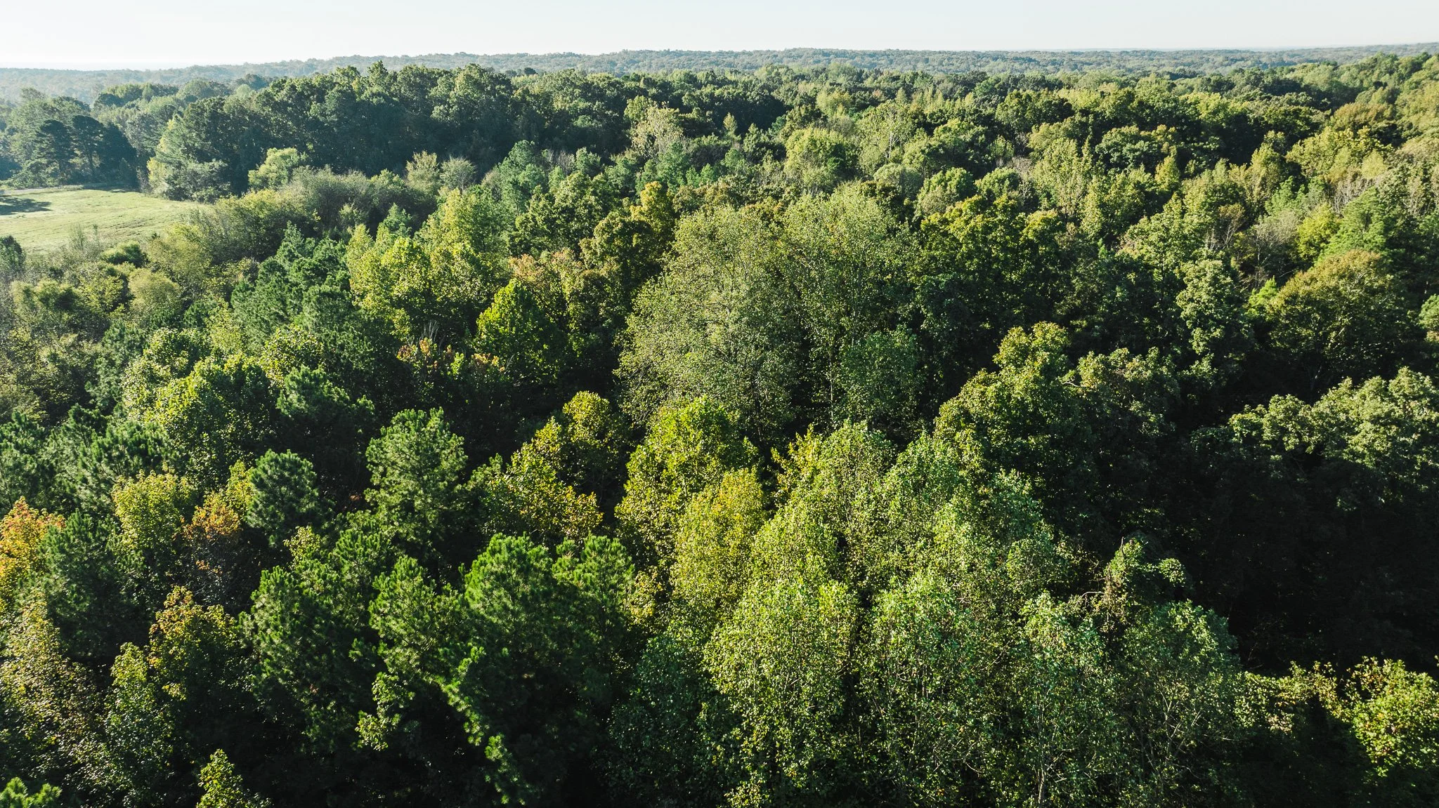 DJI_20251014085317_0022_D.jpg