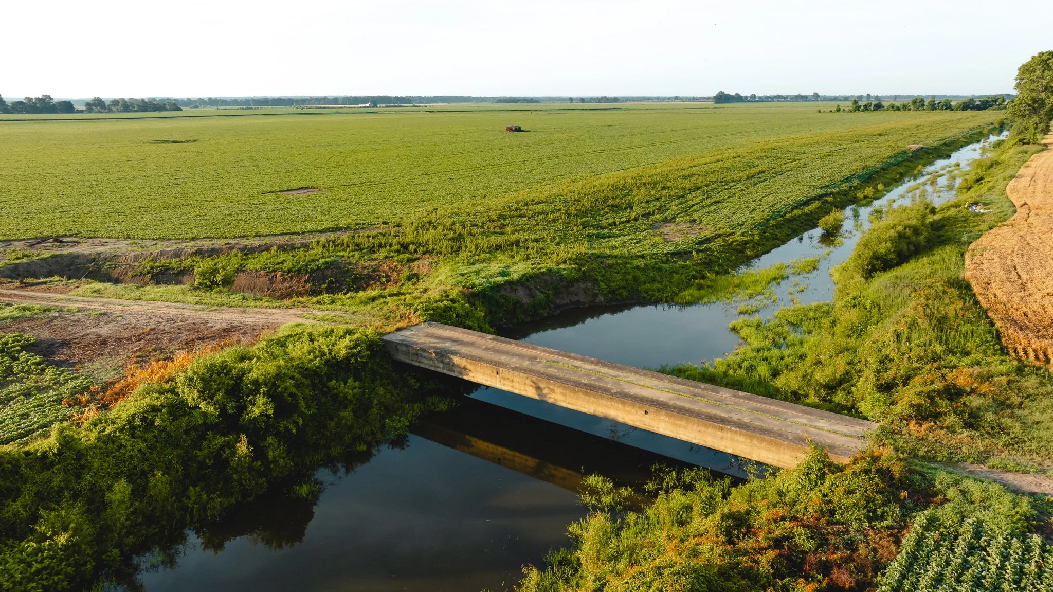 DJI_20260602135330_0022_D.jpg