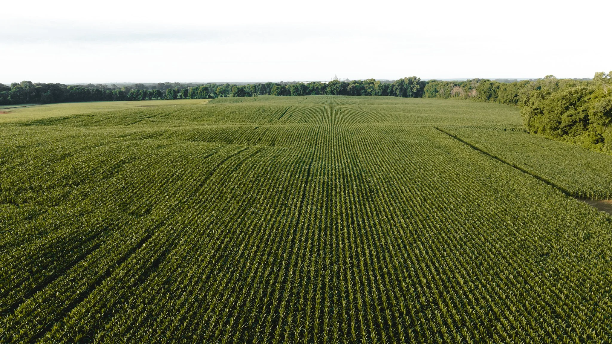 DJI_20260531140301_0077_D.jpg