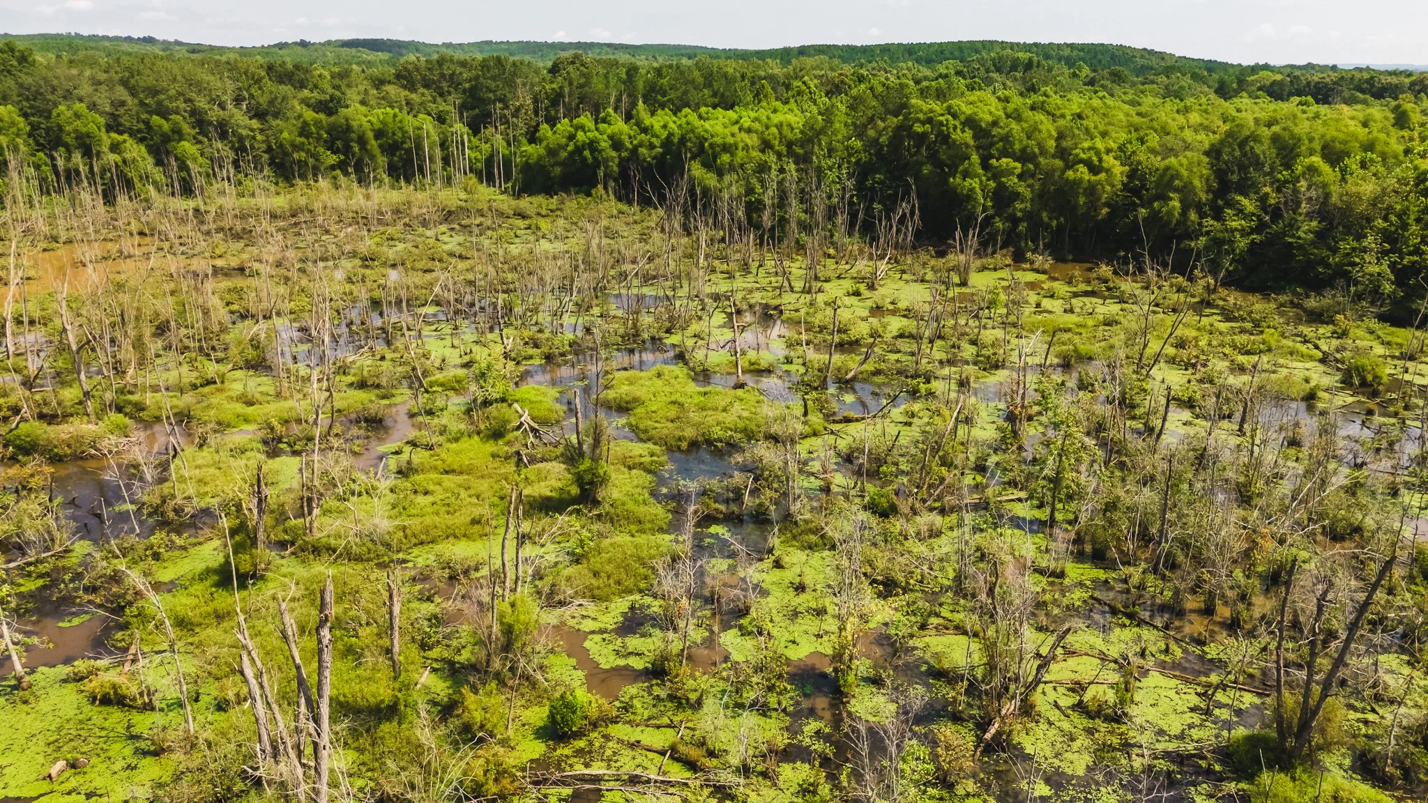 DJI_20250814102214_0018_D.jpg