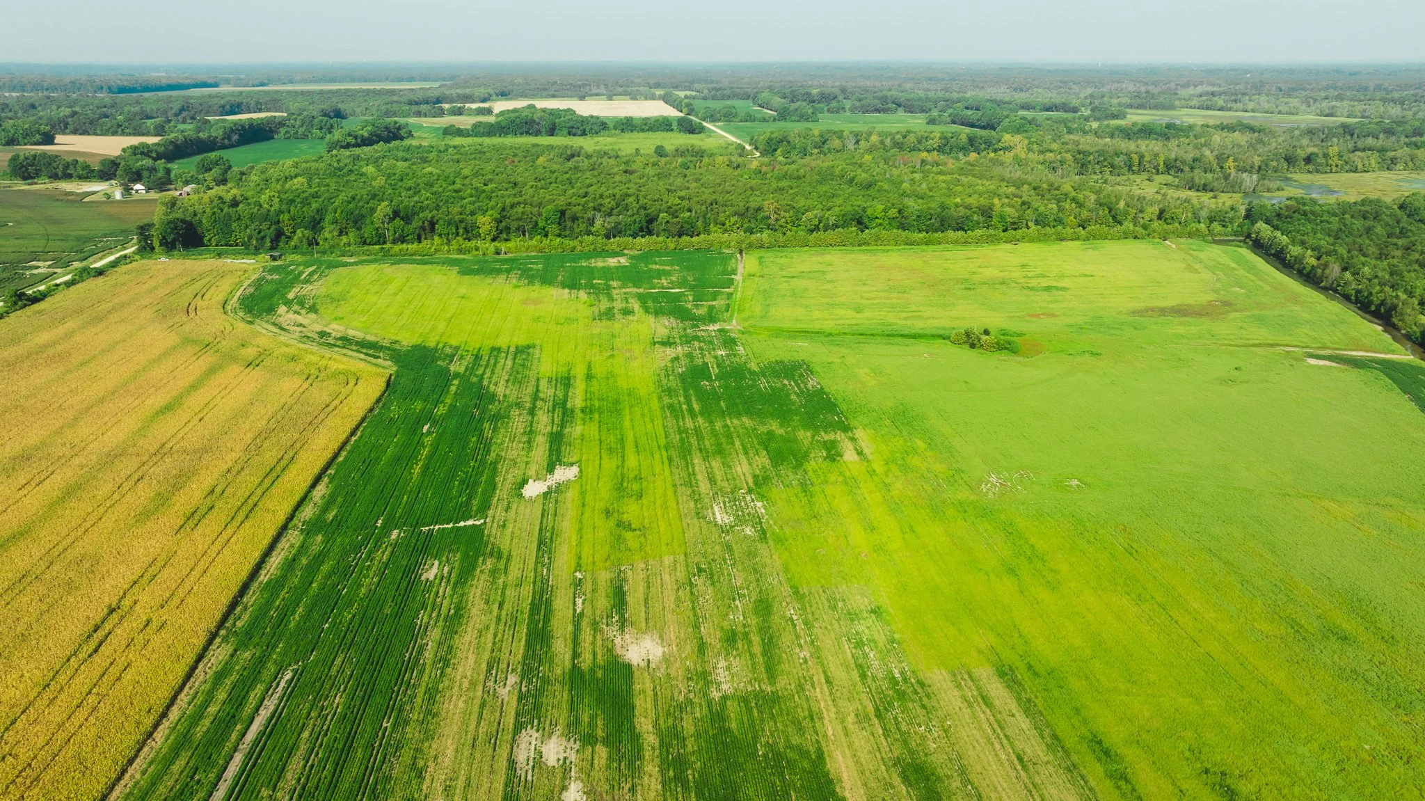 DJI_20250915092307_0020_D.jpg