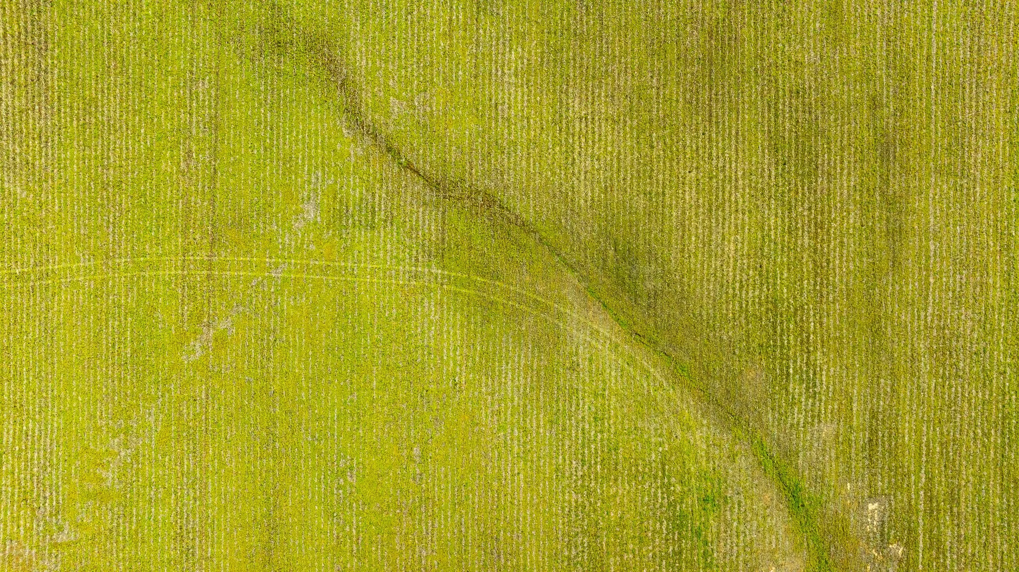 DJI_20260319152100_0026_D.jpg