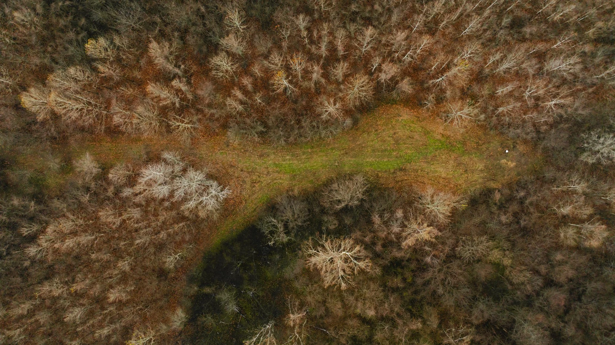 DJI_20251204095125_0021_D.jpg