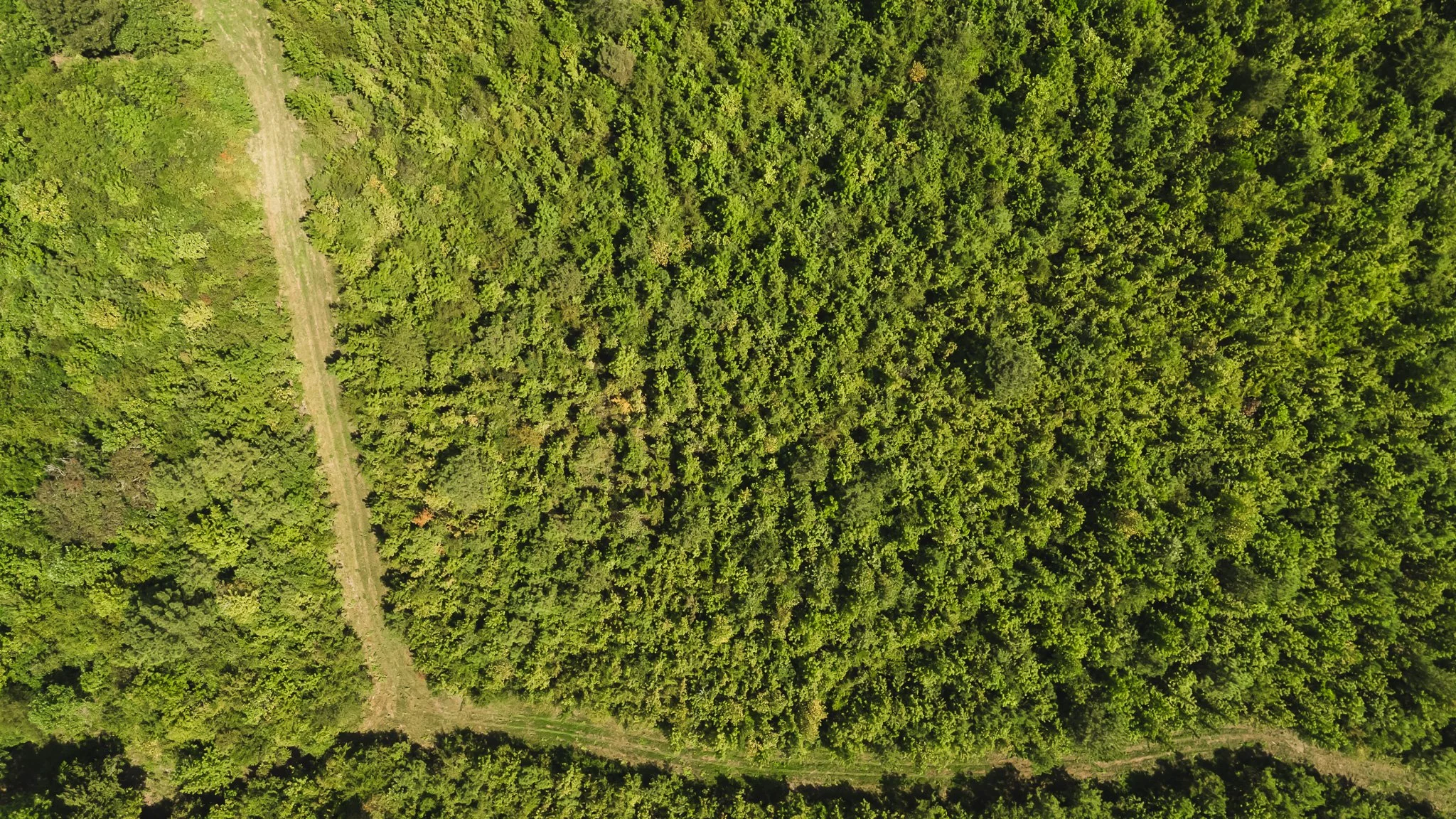 DJI_20250814104959_0041_D.jpg