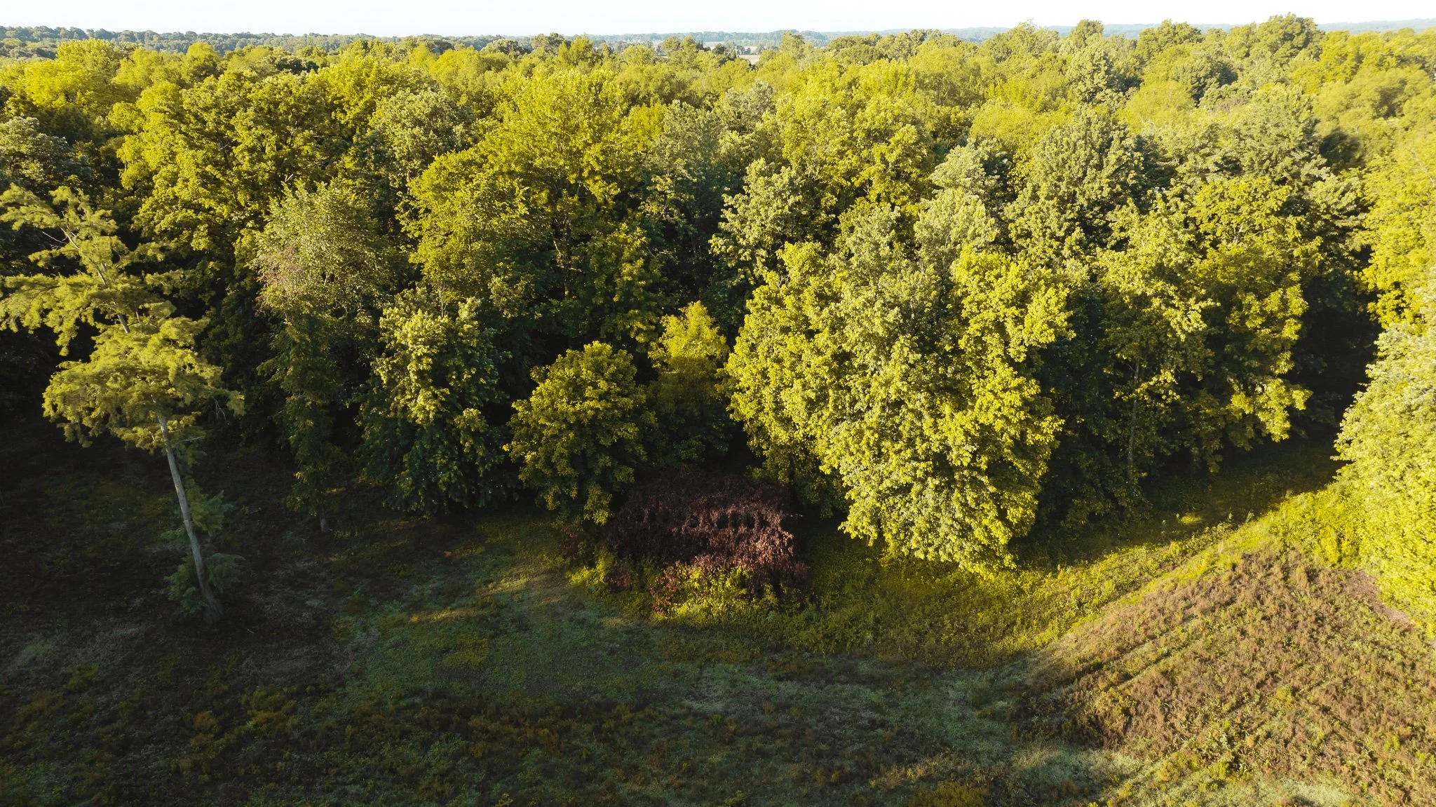 DJI_20260505143556_0061_D.jpg