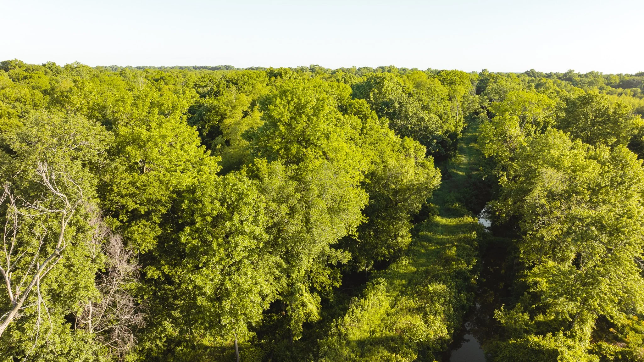 DJI_20260505143714_0064_D.jpg