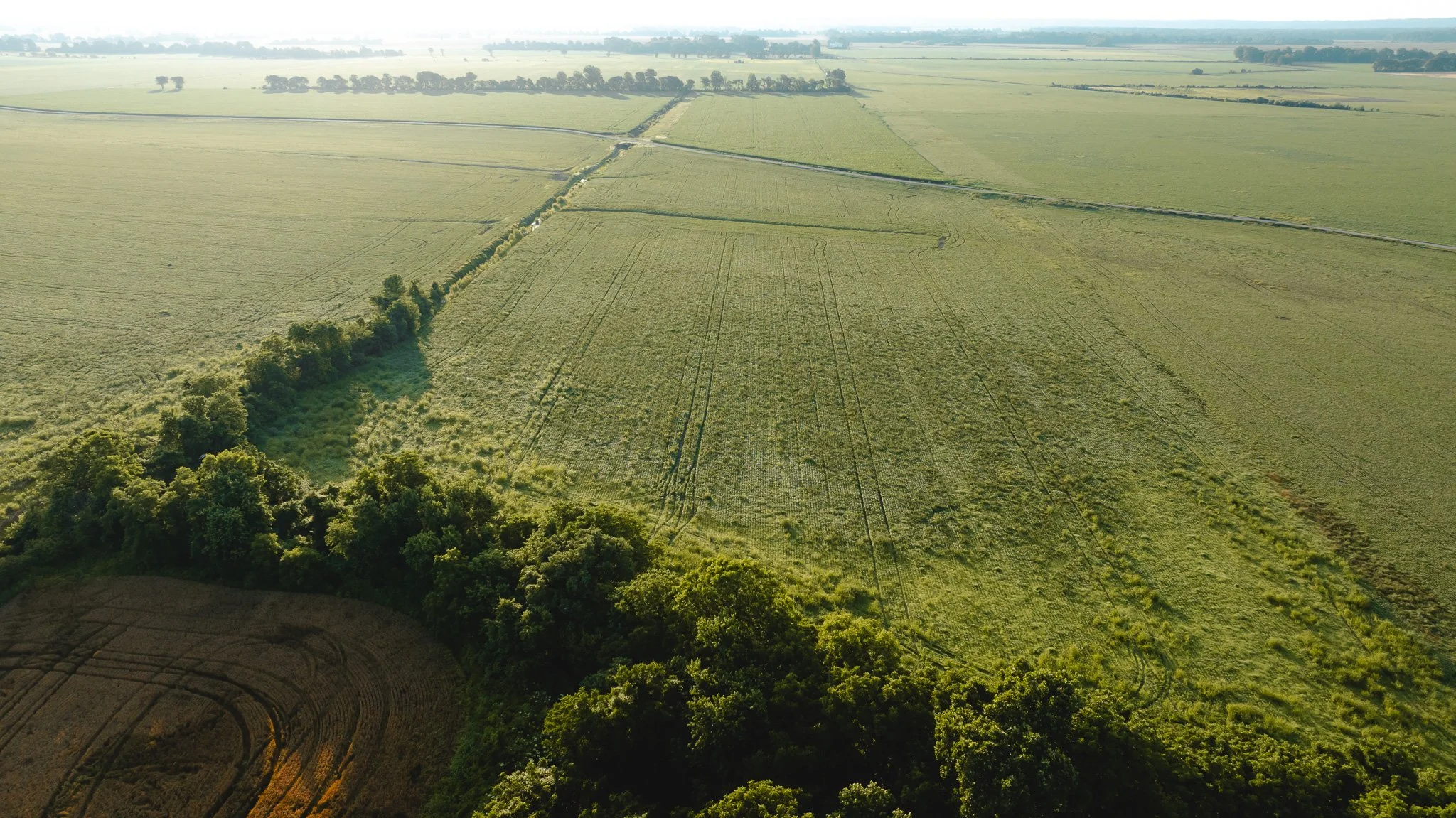 DJI_20260602134736_0008_D.jpg
