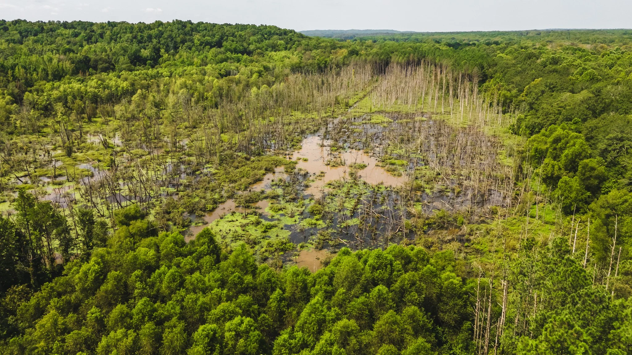 DJI_20250814102411_0026_D.jpg